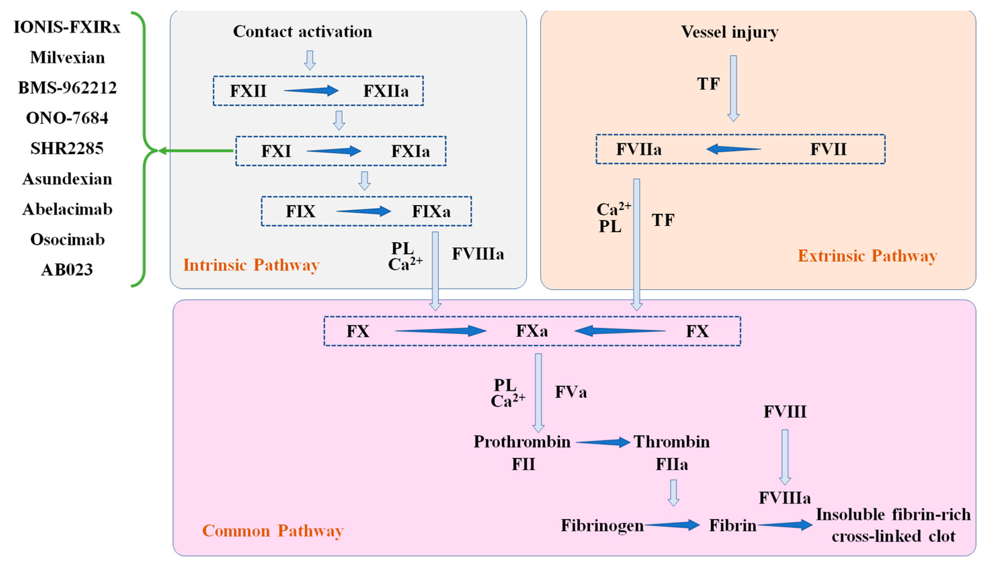 Factor XIa inhibition with asundexian after acute non-cardioembolic  ischaemic stroke (PACIFIC-Stroke): an international, randomised,  double-blind, placebo-controlled, phase 2b trial - The Lancet