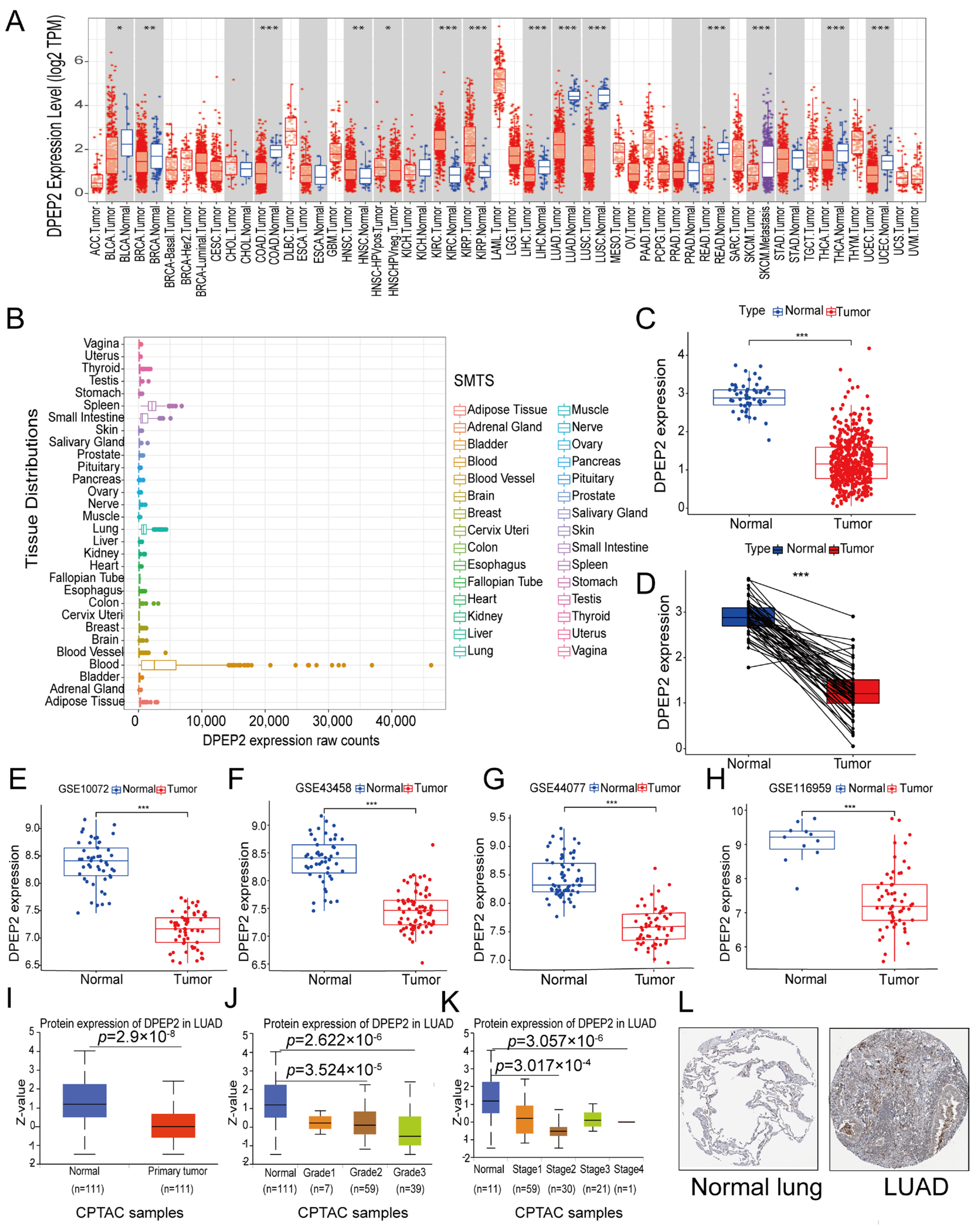 Pharmaceuticals 16 00871 g001 Pharmaceuticals 16 00871 g001