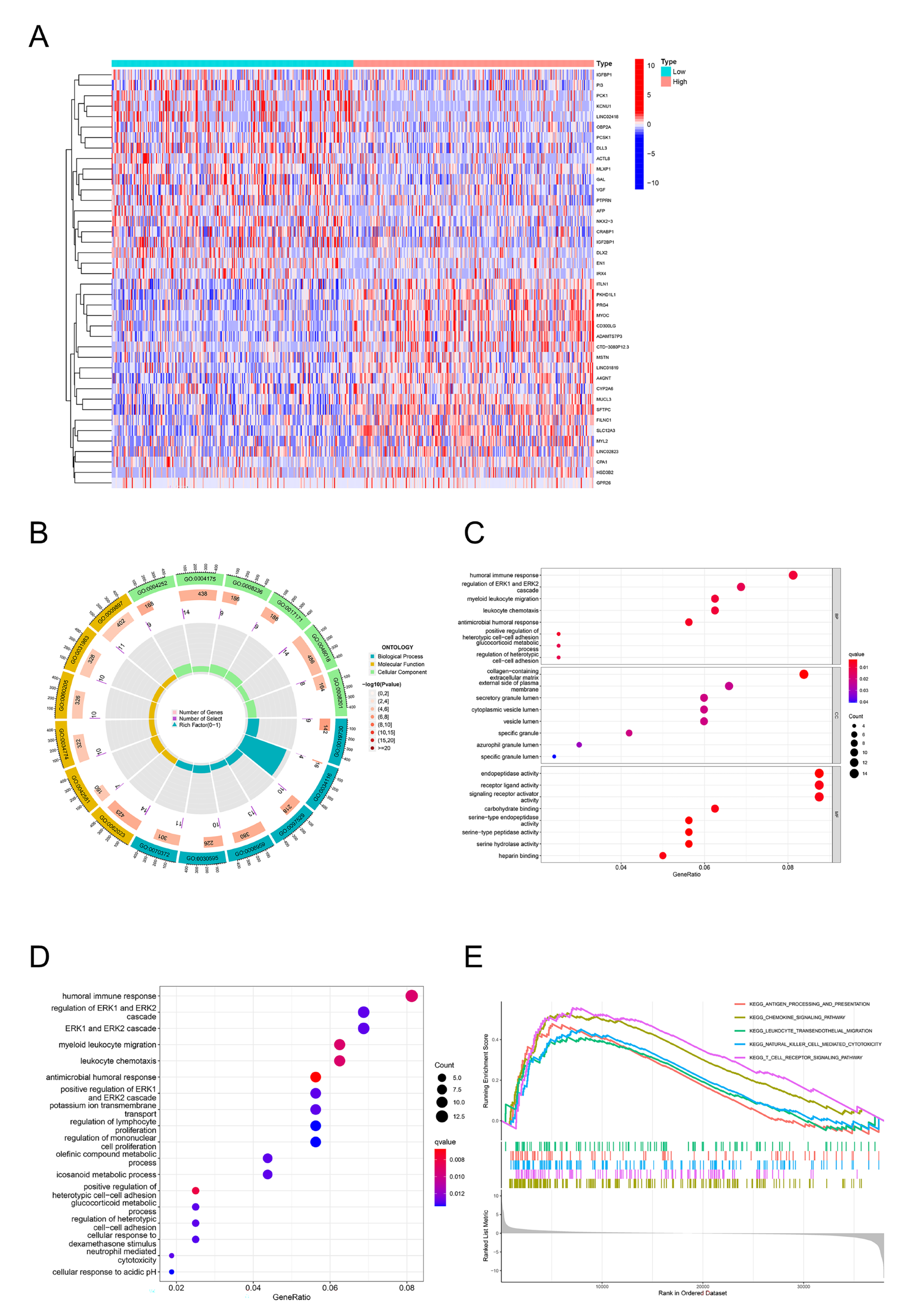 Pharmaceuticals 16 00871 g003 Pharmaceuticals 16 00871 g003