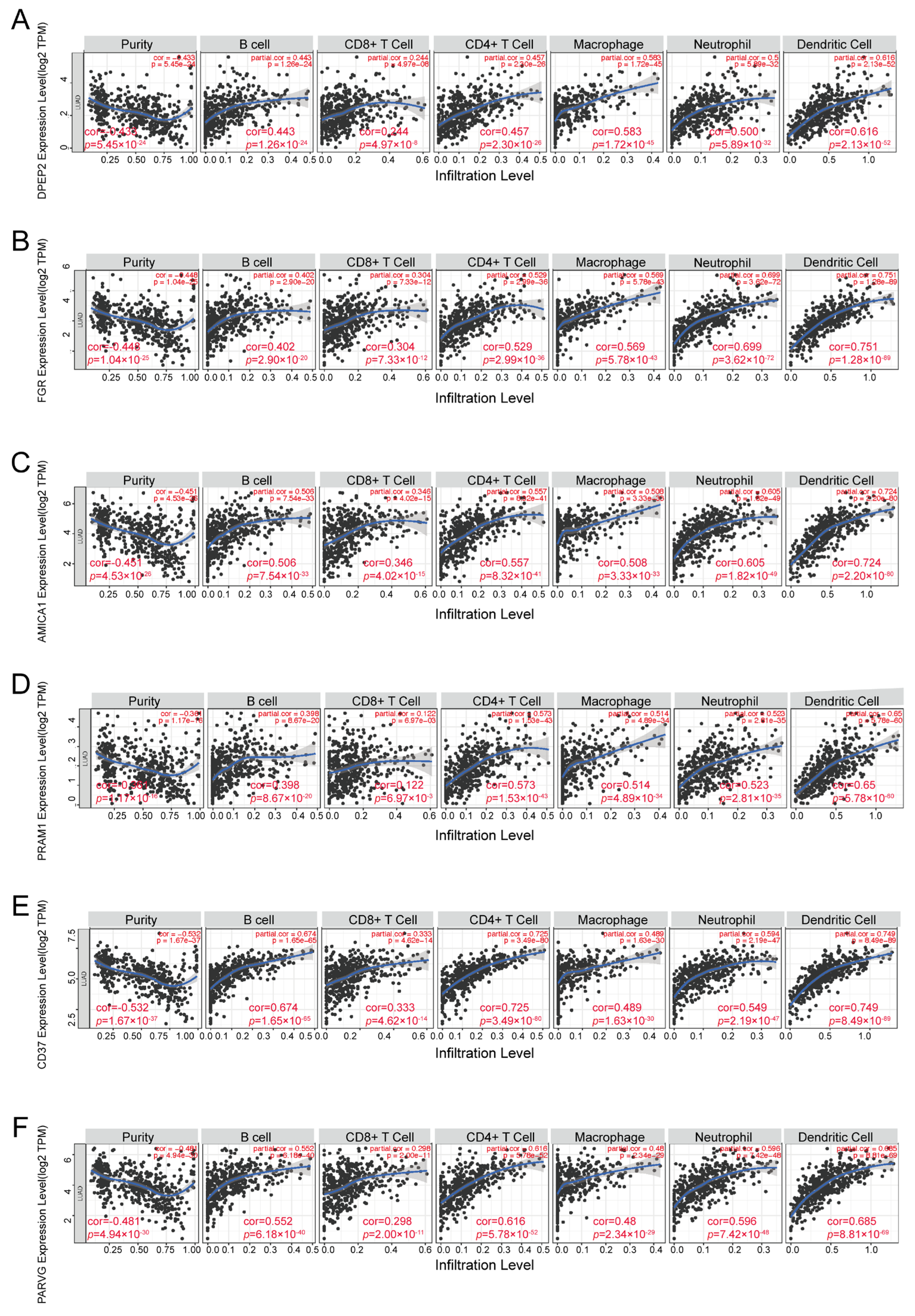 Pharmaceuticals 16 00871 g004 Pharmaceuticals 16 00871 g004