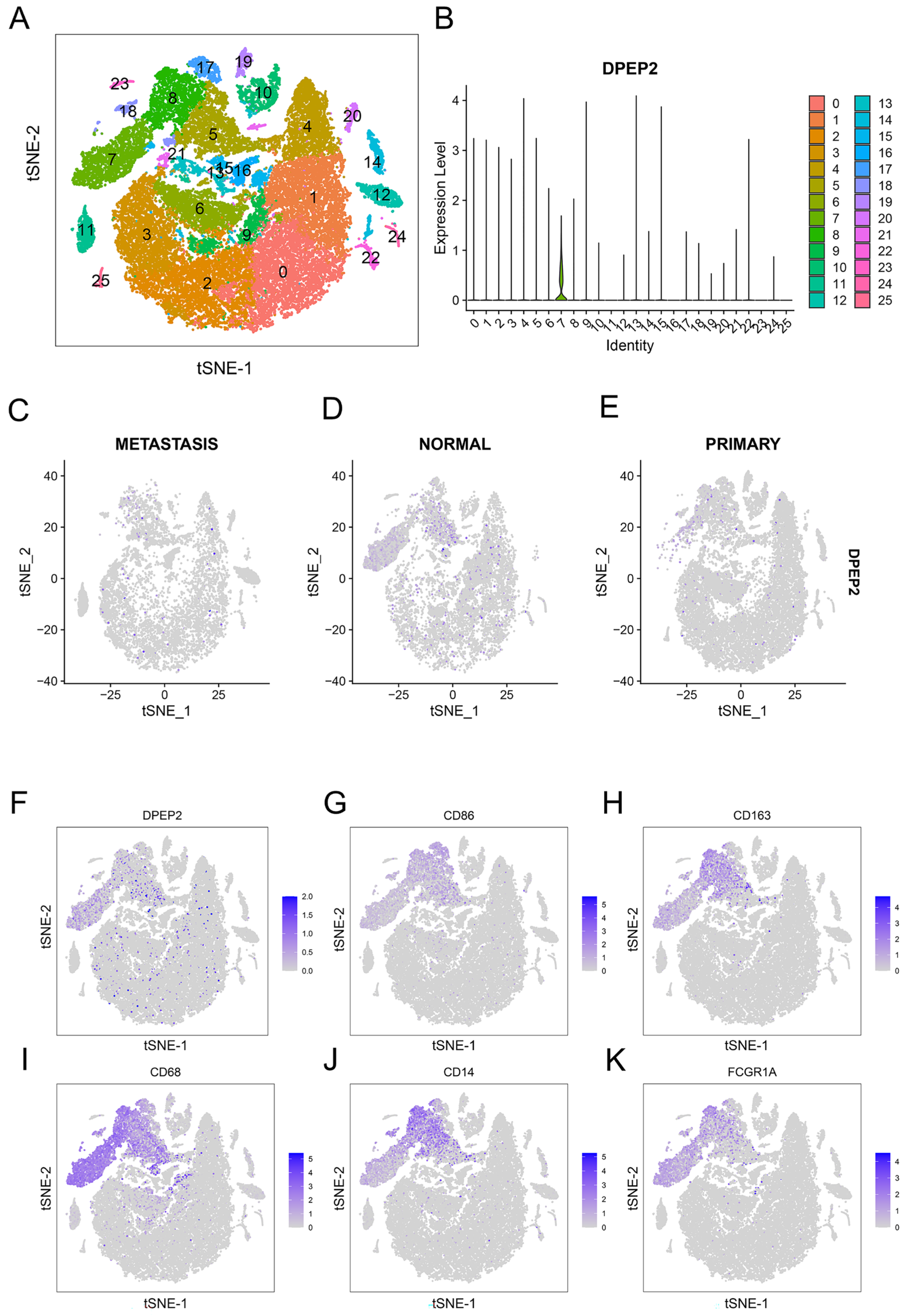 Pharmaceuticals 16 00871 g007 Pharmaceuticals 16 00871 g007