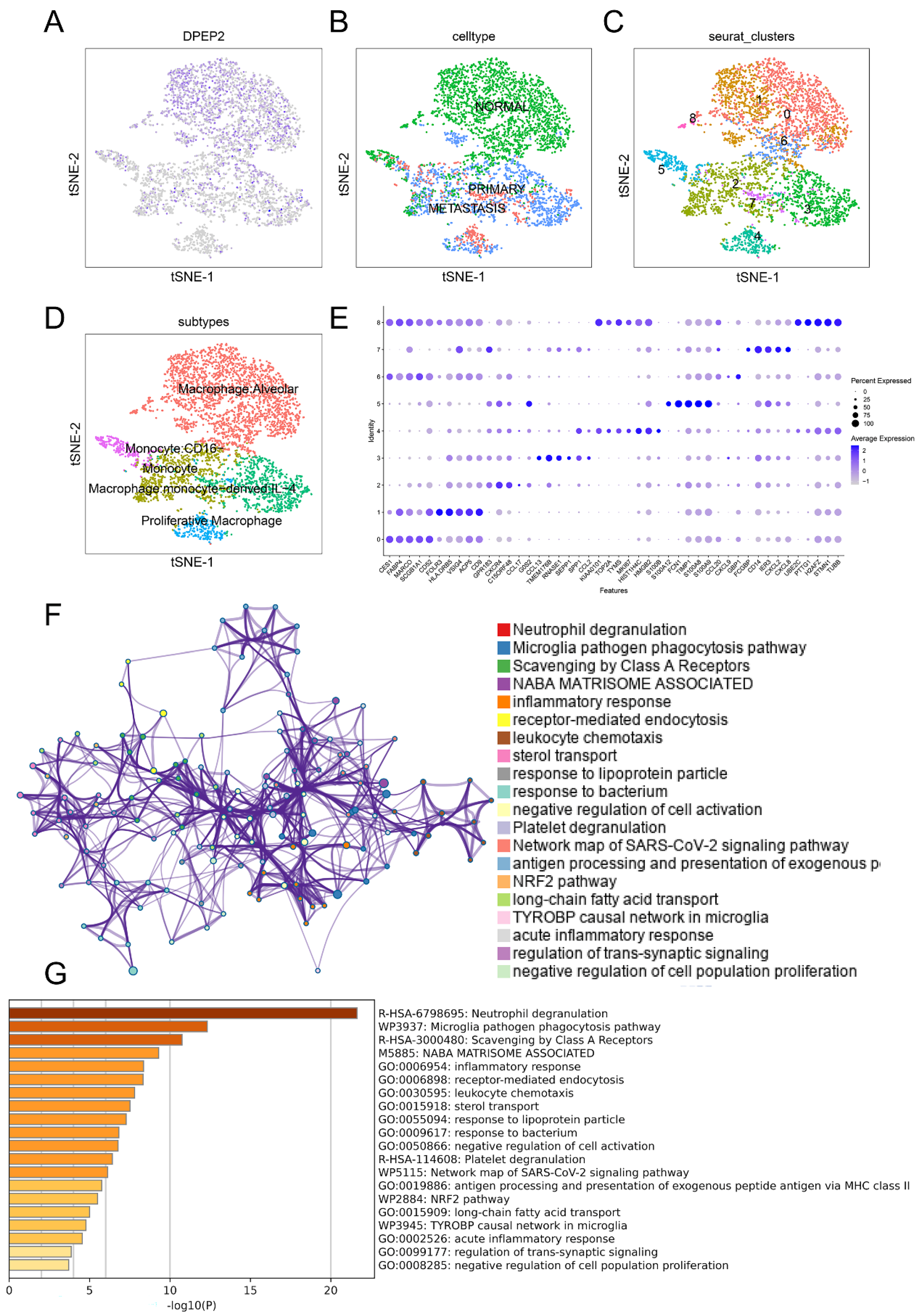 Pharmaceuticals 16 00871 g008 Pharmaceuticals 16 00871 g008