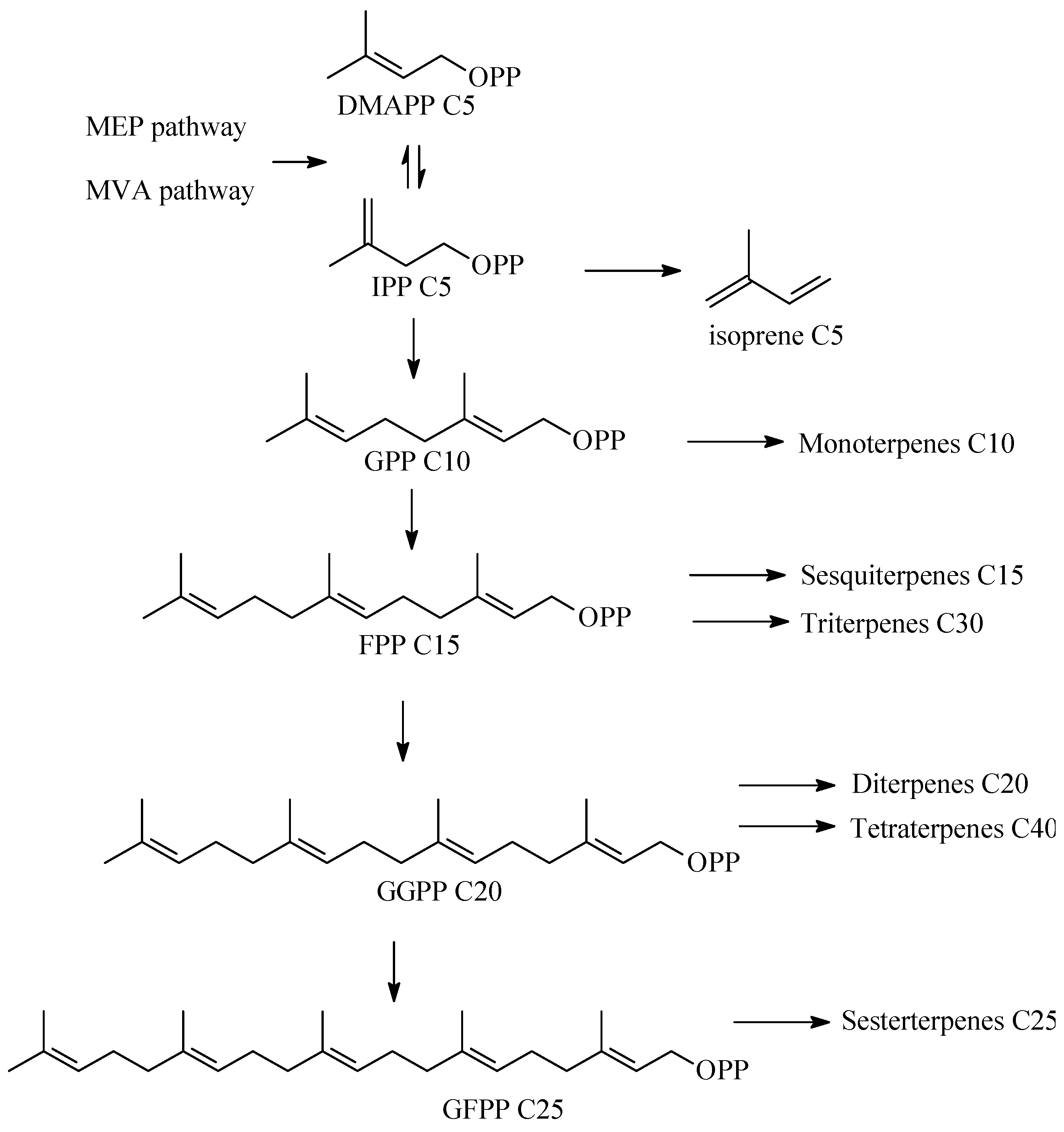 Pharmaceuticals 16 00872 g002 Pharmaceuticals 16 00872 g002