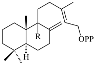Pharmaceuticals 16 00872 i335 Pharmaceuticals 16 00872 i335