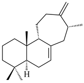 Pharmaceuticals 16 00872 i343 Pharmaceuticals 16 00872 i343