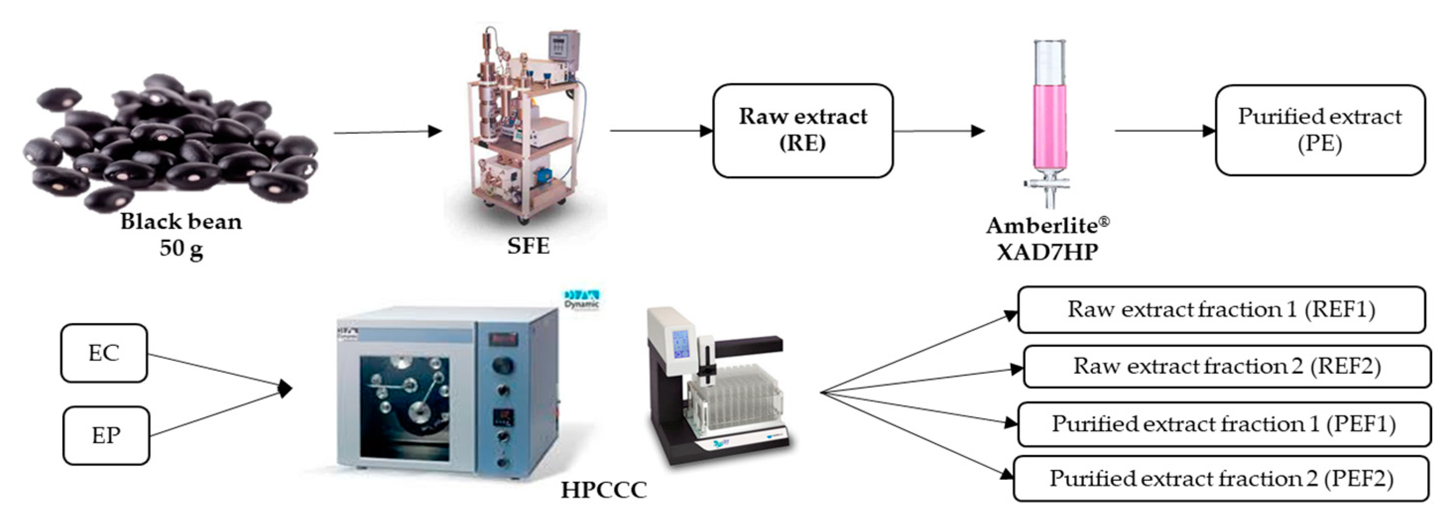 Pharmaceuticals 16 00874 g005 Pharmaceuticals 16 00874 g005