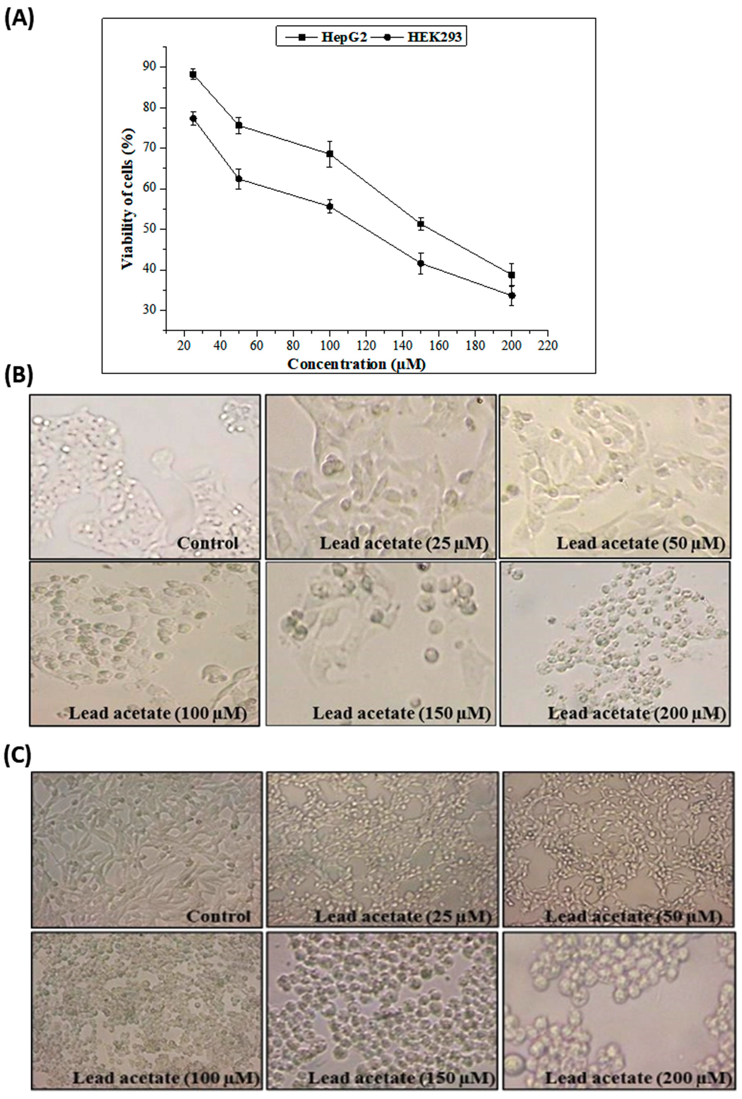 Pharmaceuticals 16 00875 g002 Pharmaceuticals 16 00875 g002