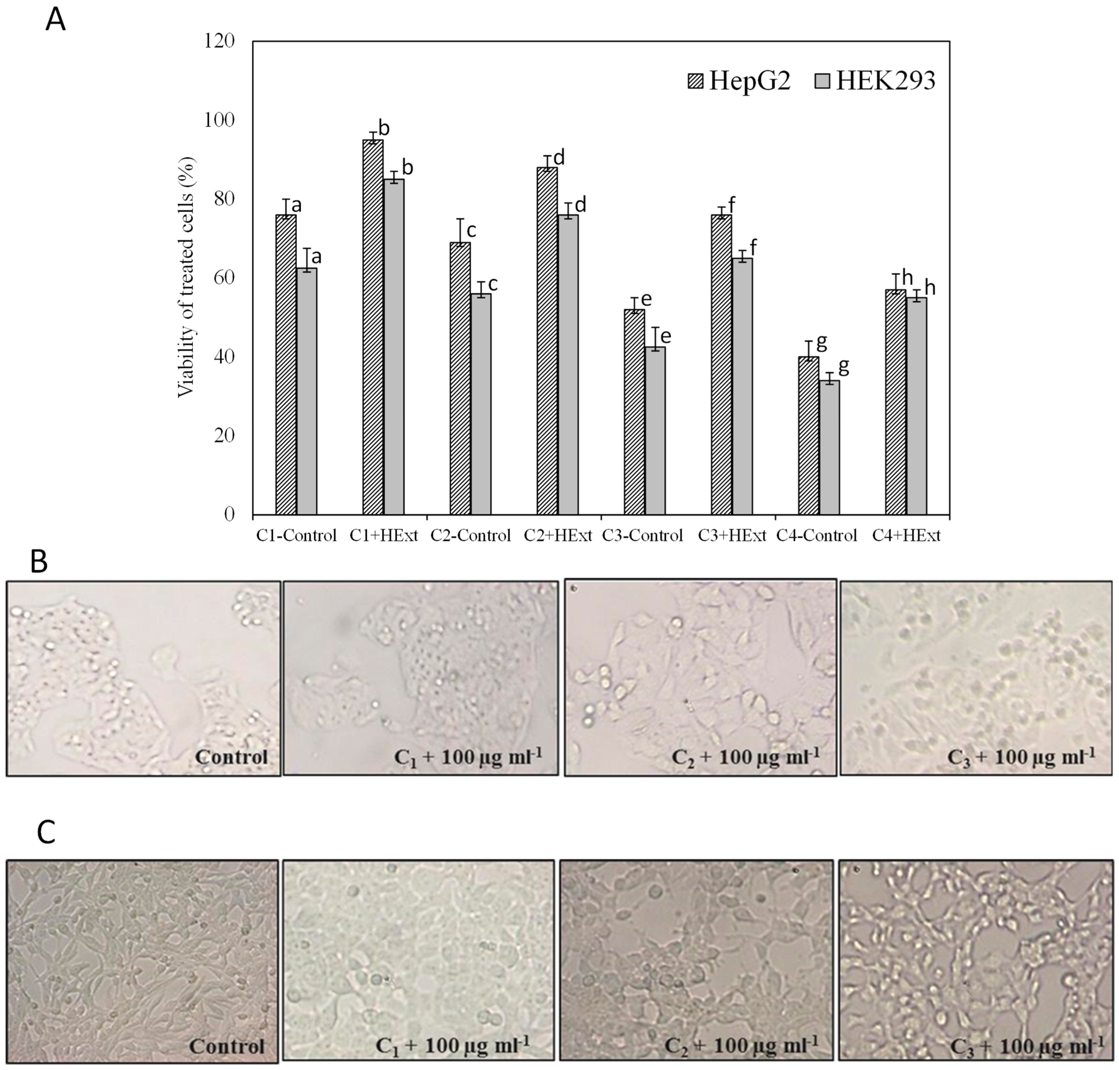 Pharmaceuticals 16 00875 g003 Pharmaceuticals 16 00875 g003