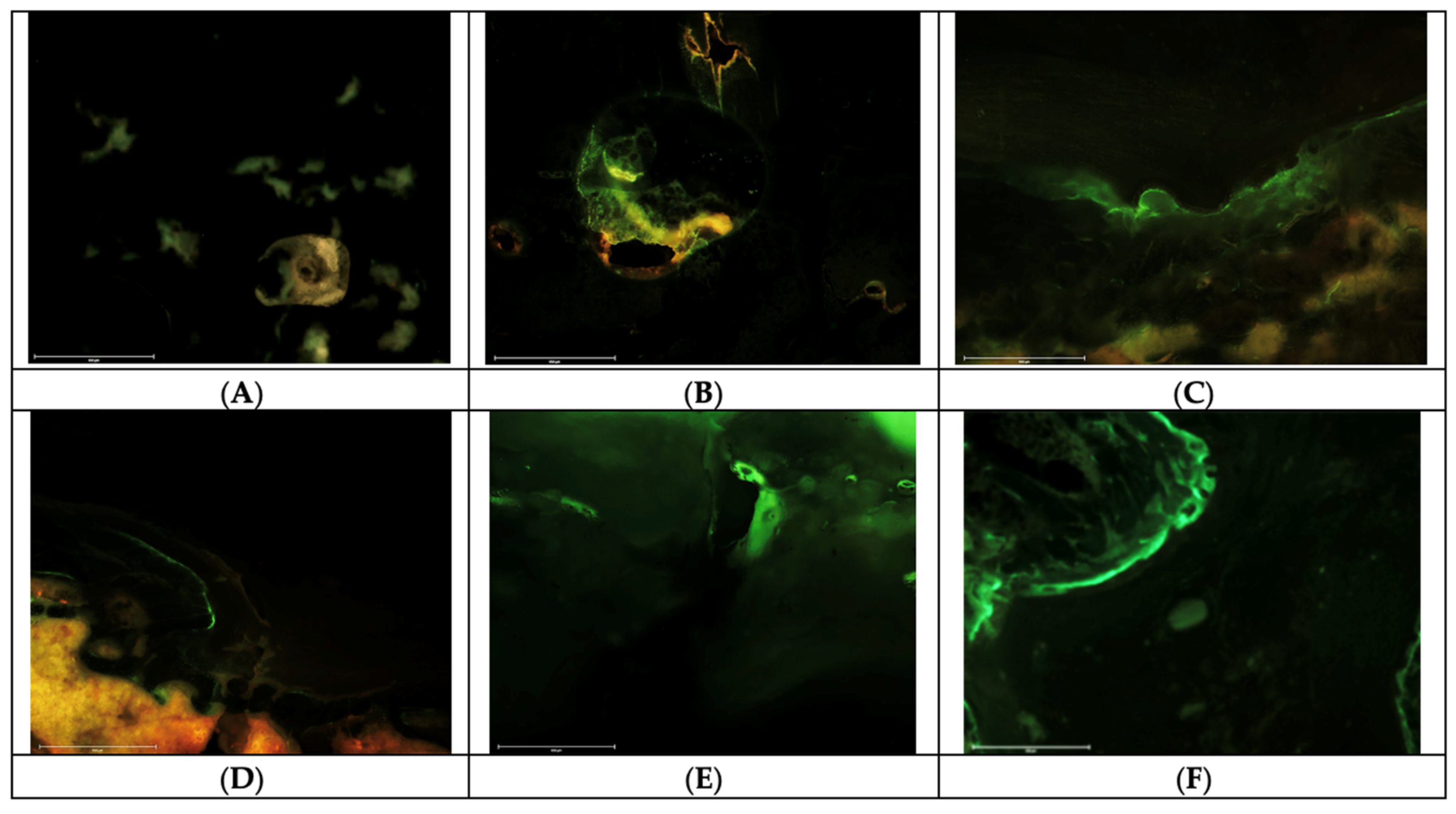 Pharmaceuticals 16 00876 g002