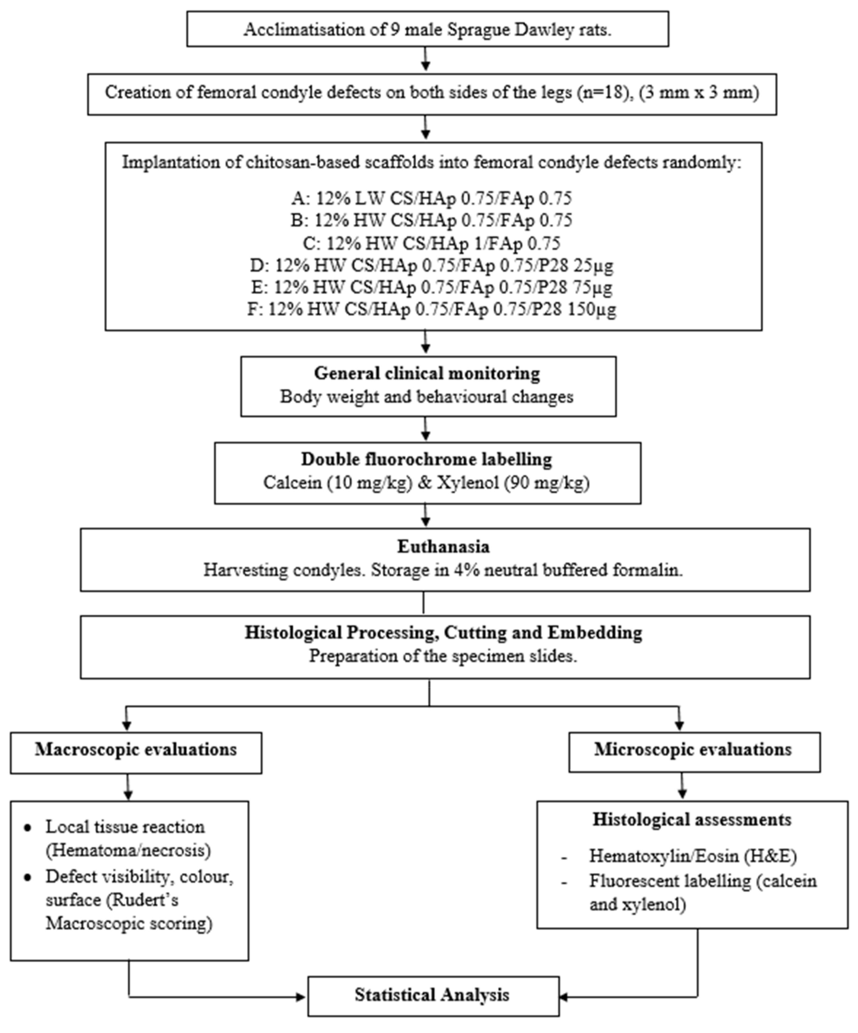 Pharmaceuticals 16 00876 g003