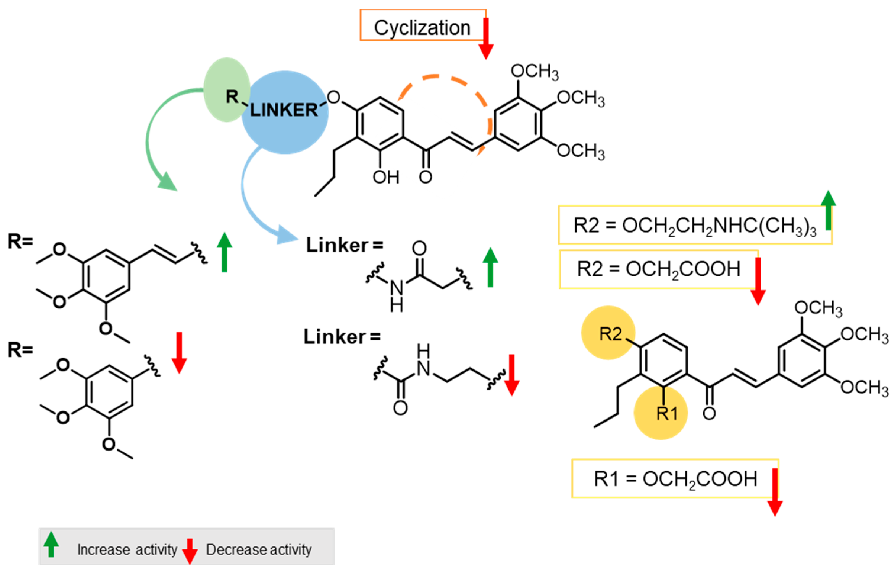 Pharmaceuticals 16 00879 g002
