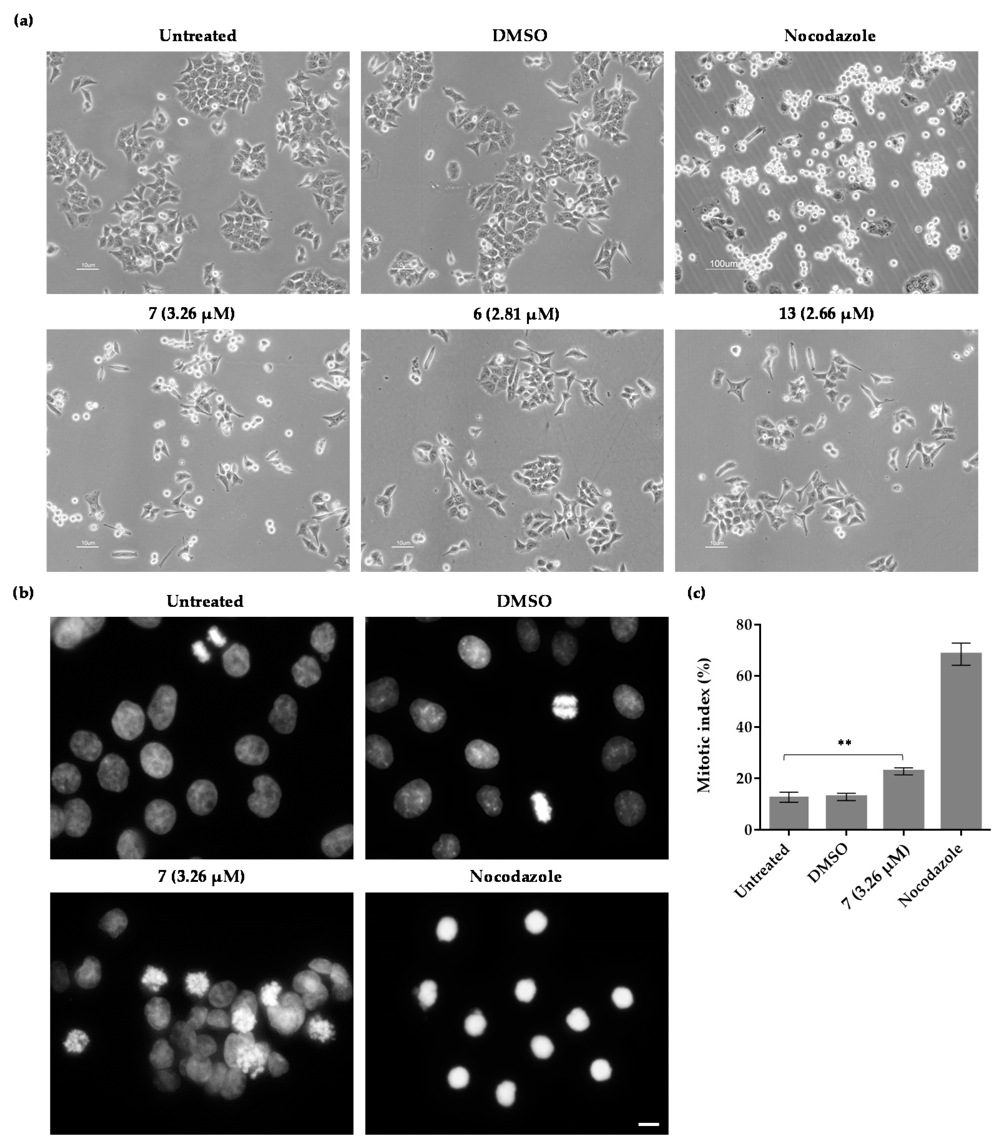 Pharmaceuticals 16 00879 g004