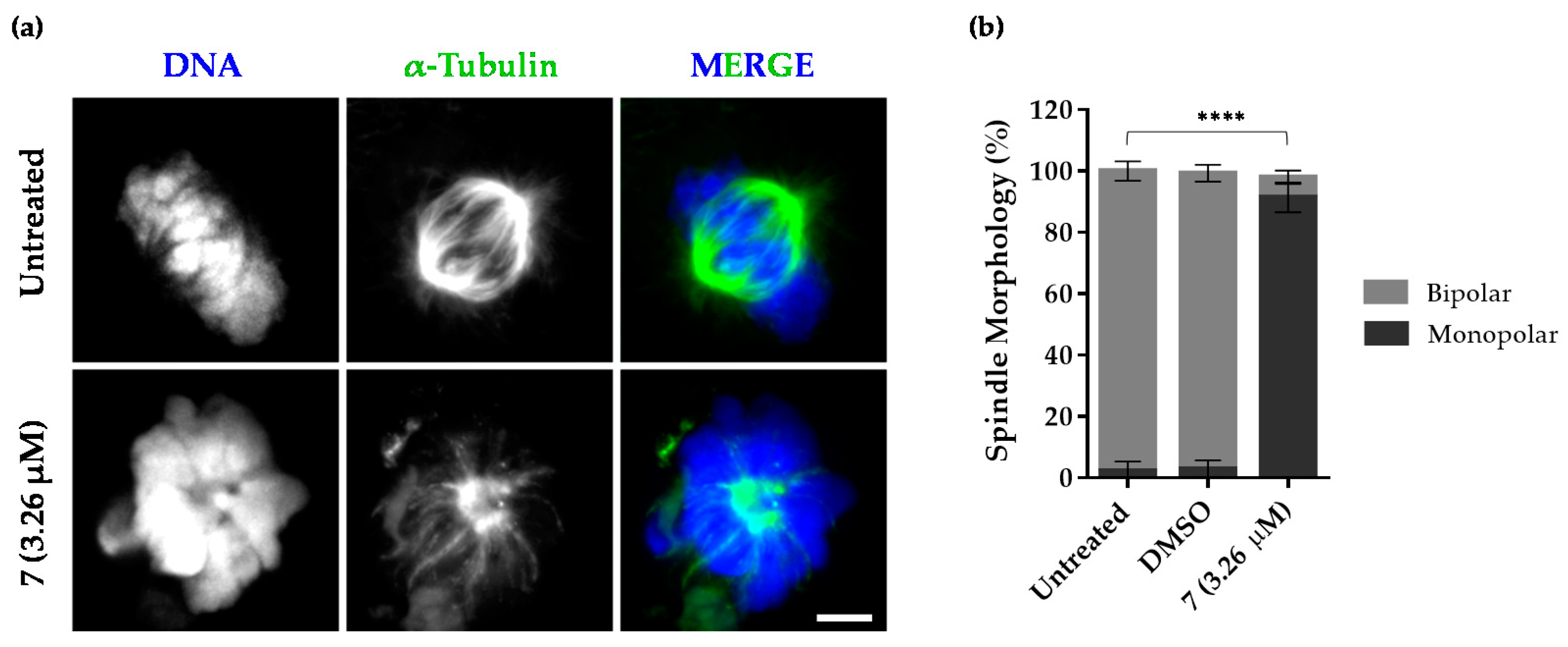 Pharmaceuticals 16 00879 g005