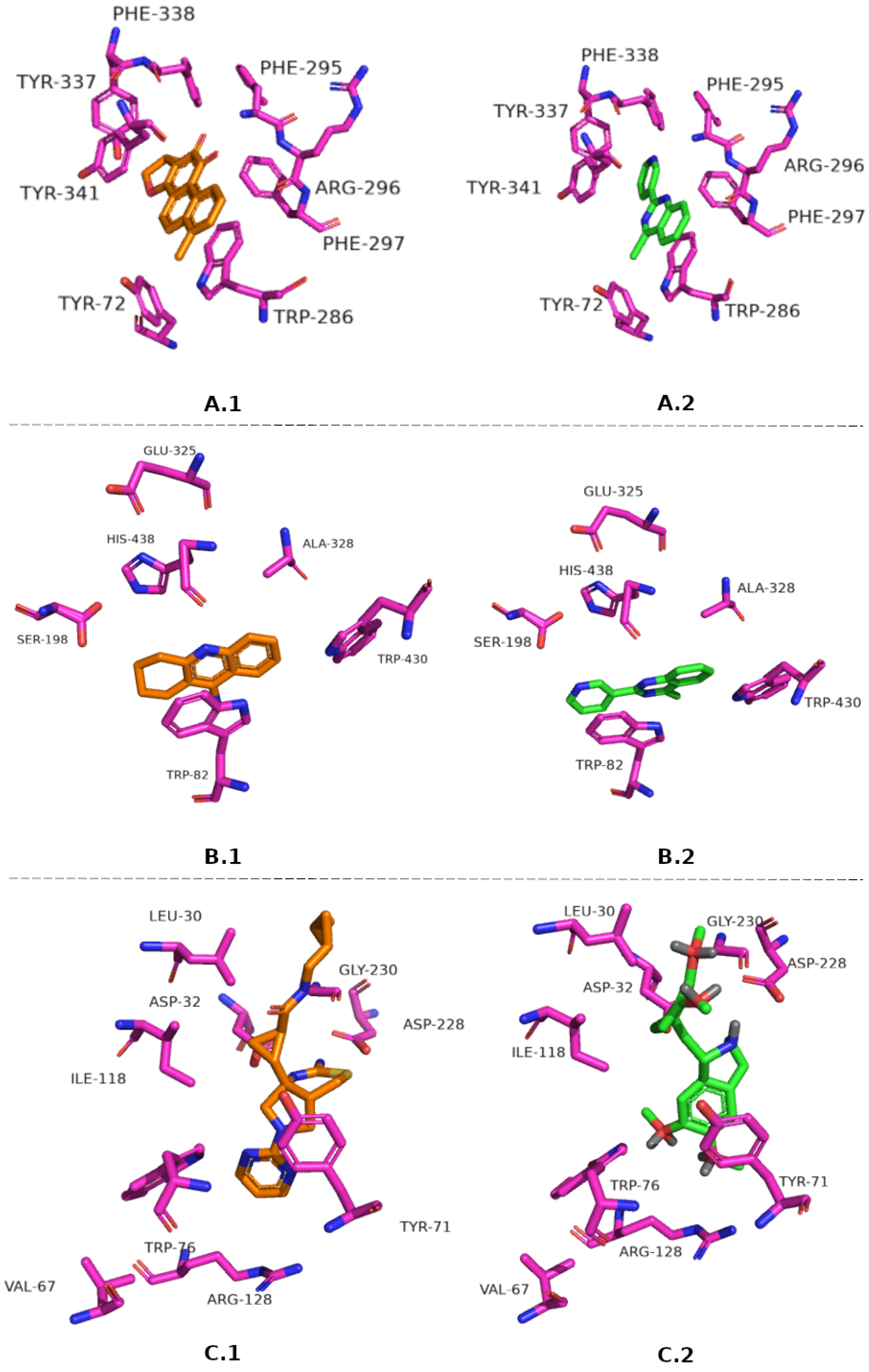 Pharmaceuticals 16 00880 g001 Pharmaceuticals 16 00880 g001