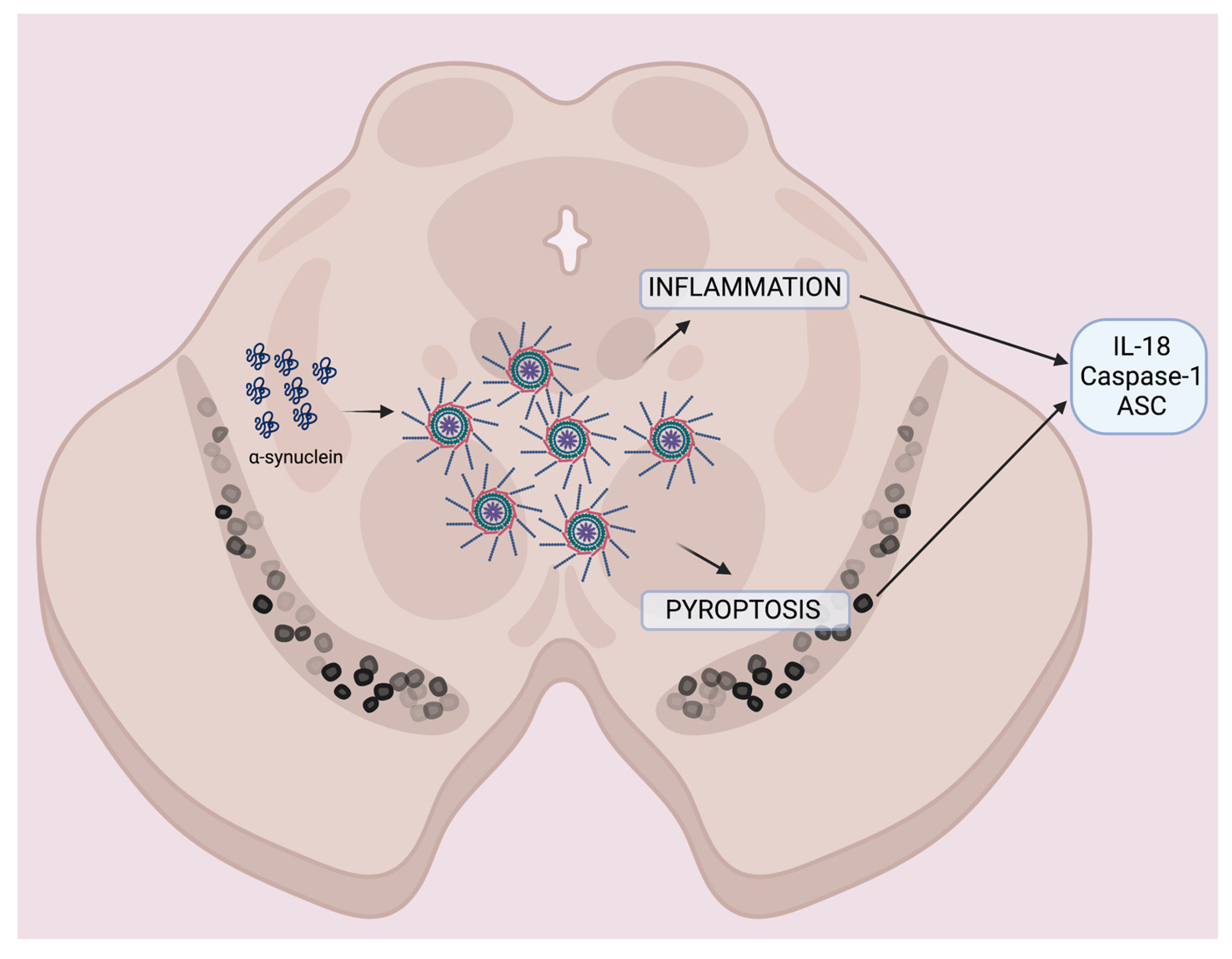 Pharmaceuticals 16 00883 g003 Pharmaceuticals 16 00883 g003