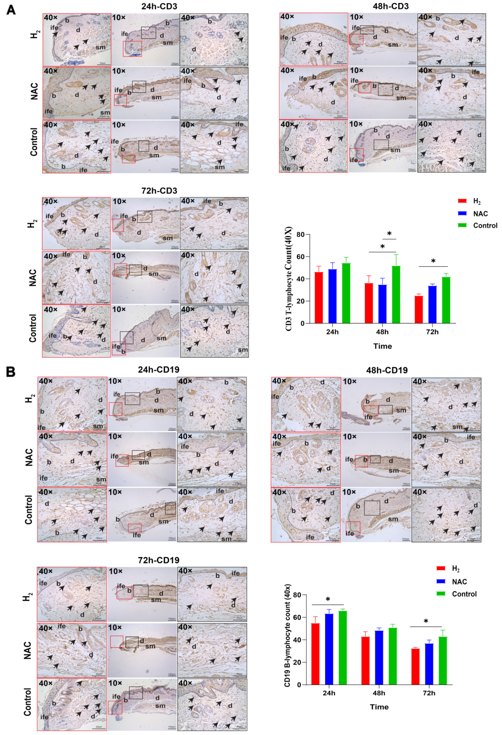 Pharmaceuticals 16 00885 g002 Pharmaceuticals 16 00885 g002