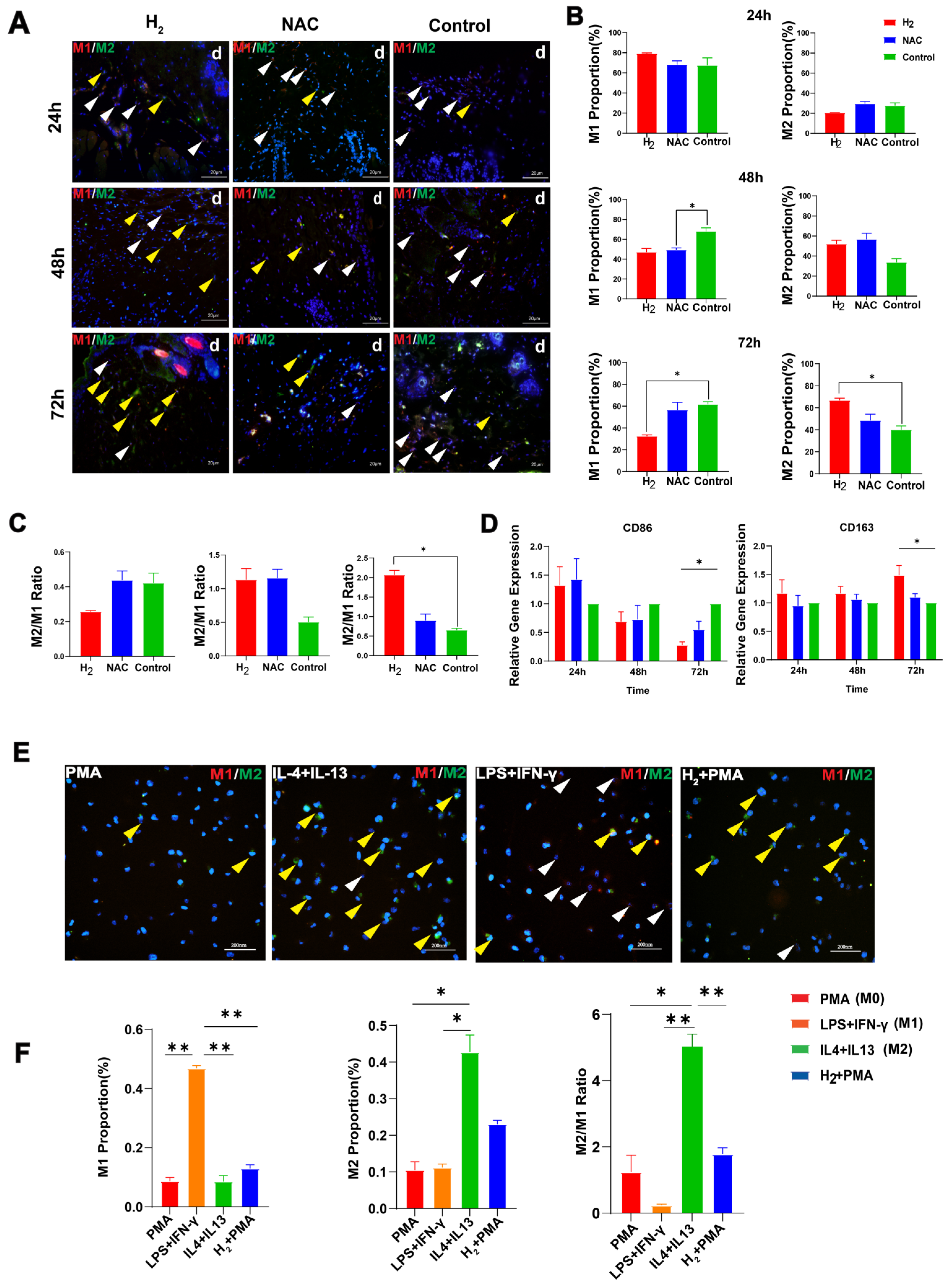 Pharmaceuticals 16 00885 g003 Pharmaceuticals 16 00885 g003
