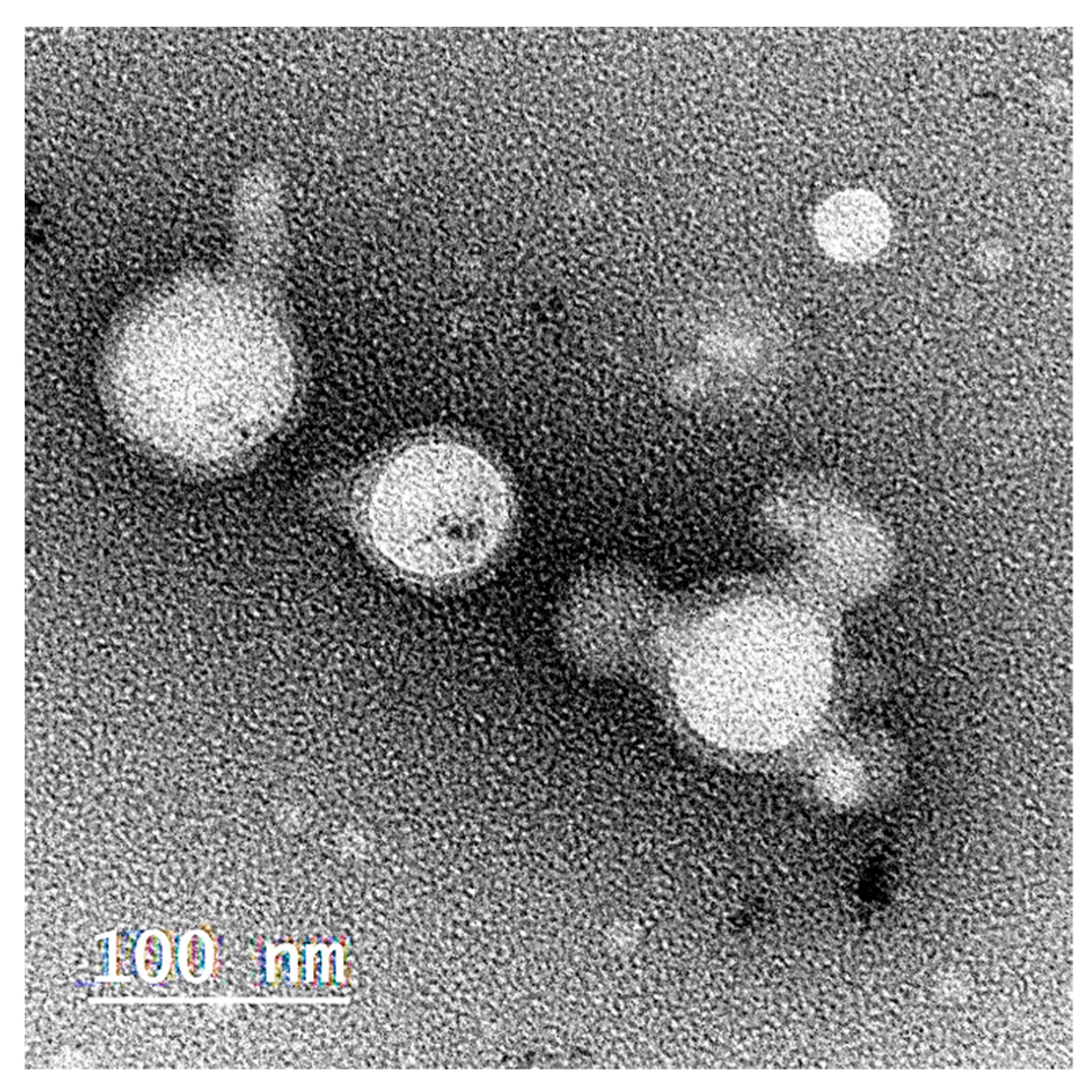 Pharmaceuticals 16 00886 g005 Pharmaceuticals 16 00886 g005