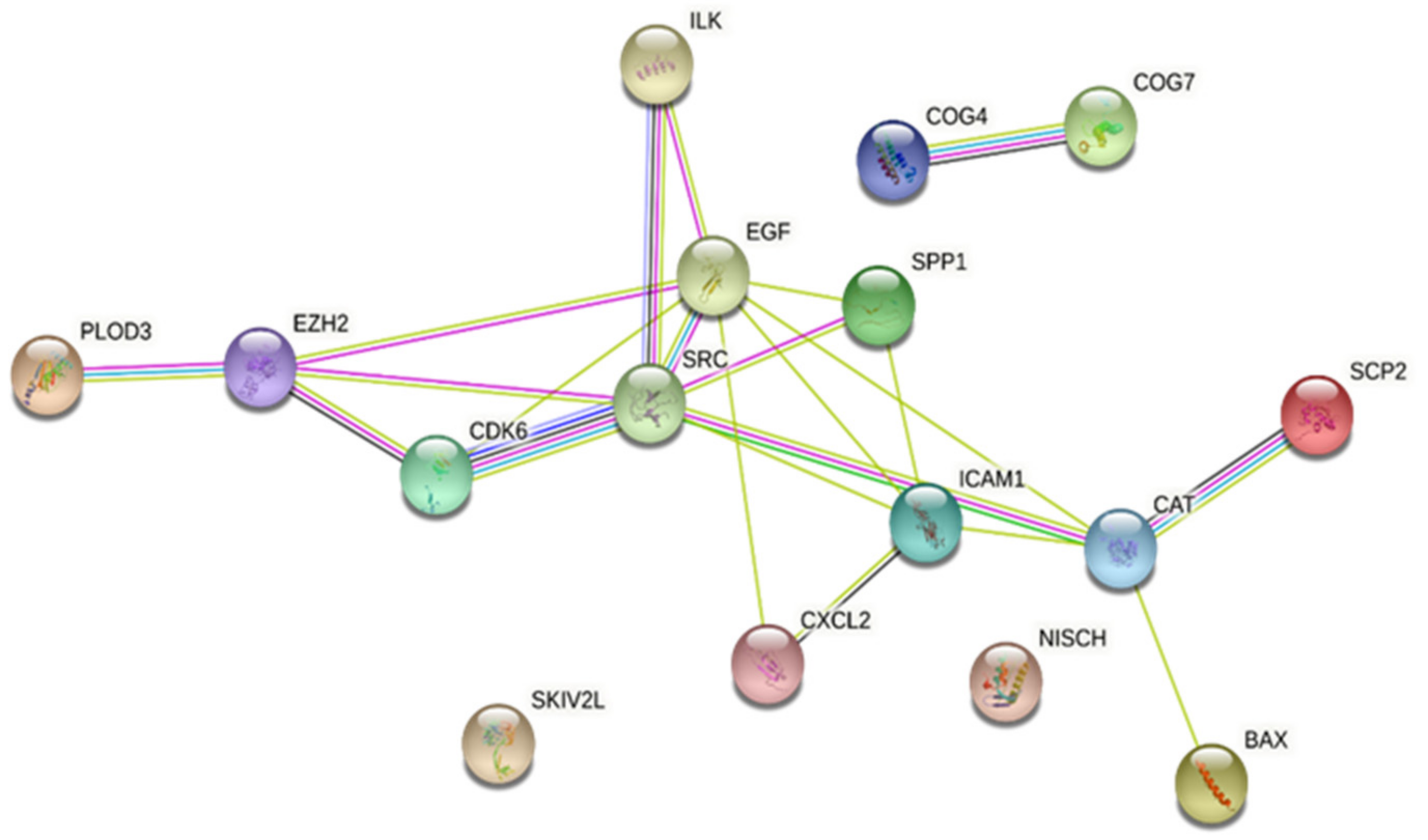 Pharmaceuticals 16 00887 g003a