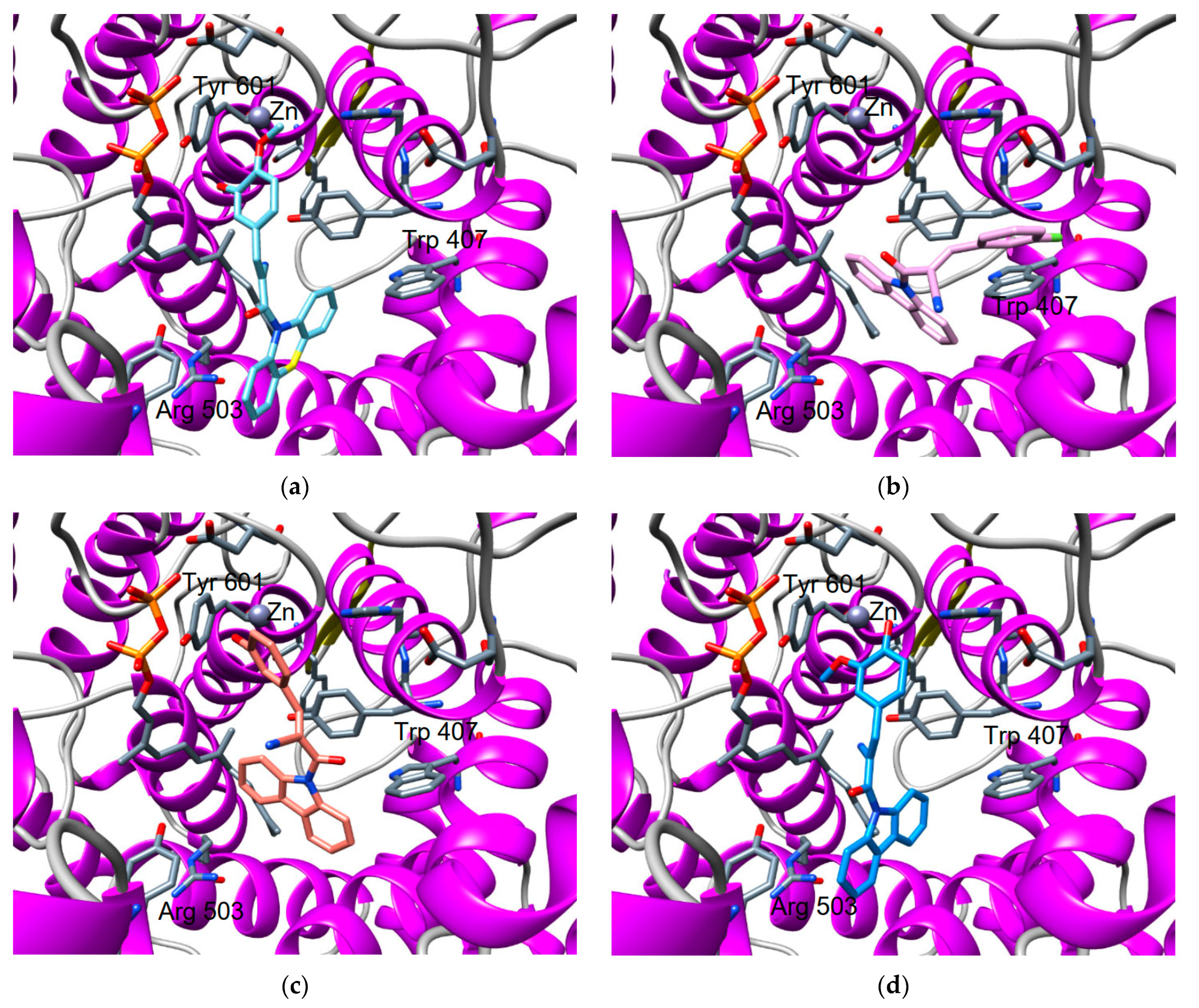 Pharmaceuticals 16 00888 g004