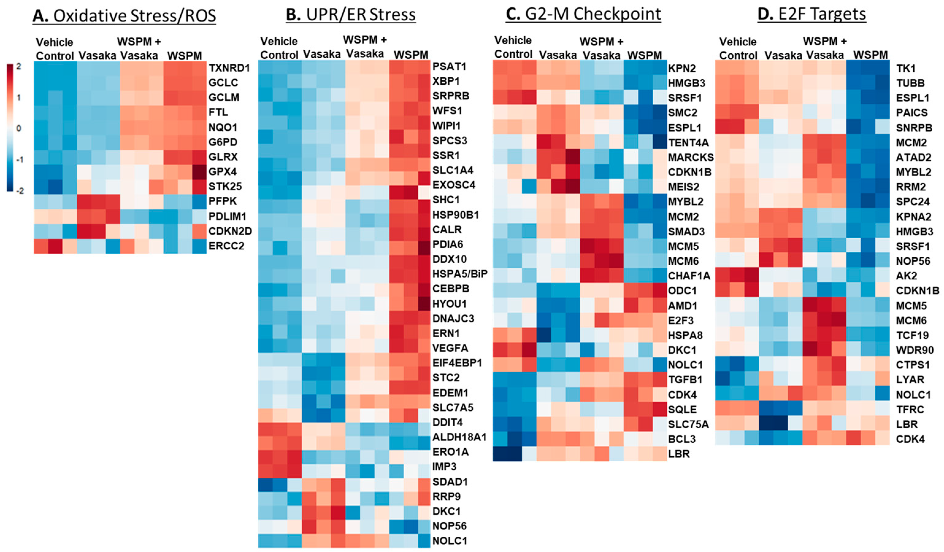 Pharmaceuticals 16 00890 g004 Pharmaceuticals 16 00890 g004
