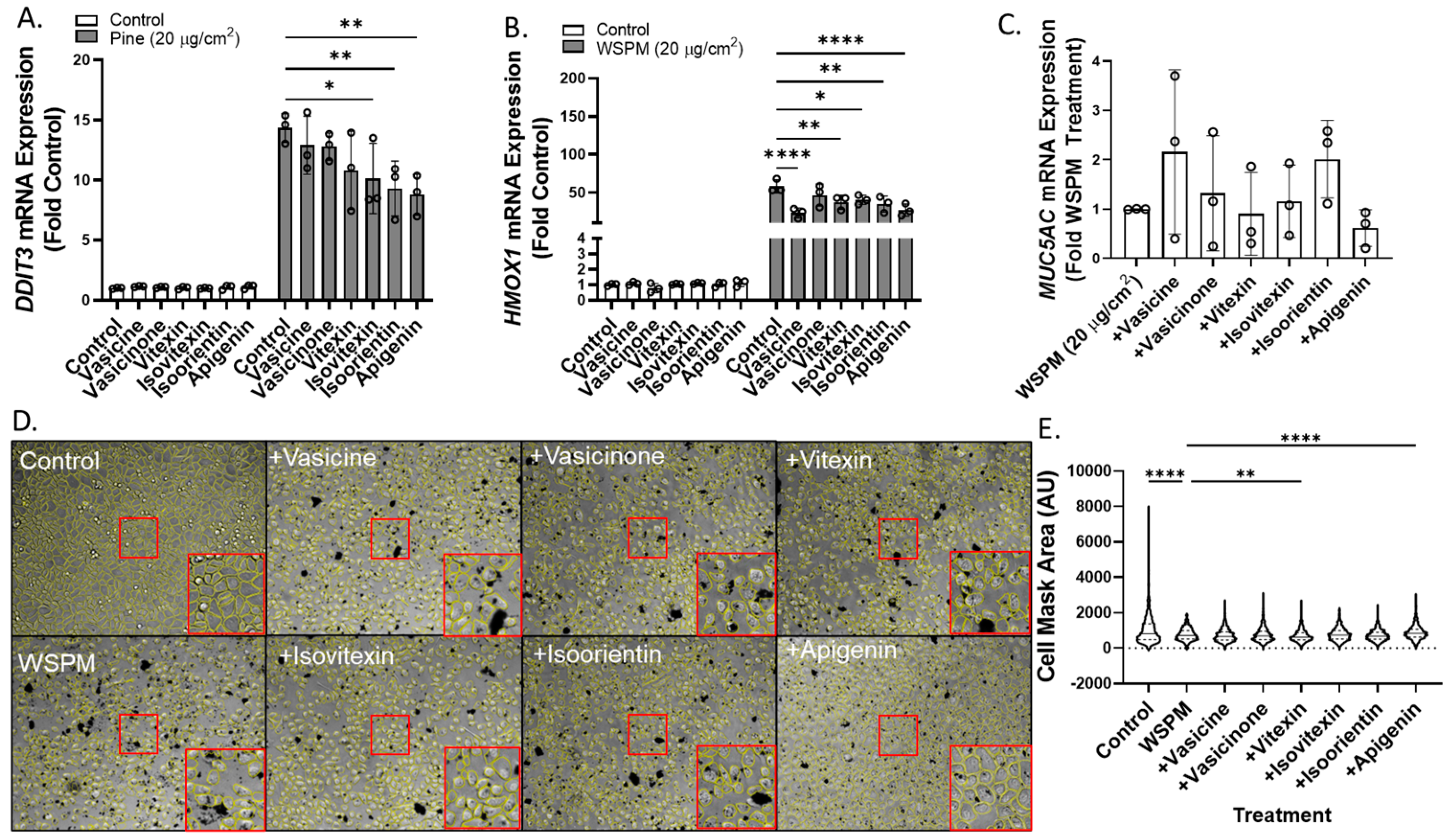 Pharmaceuticals 16 00890 g008 Pharmaceuticals 16 00890 g008
