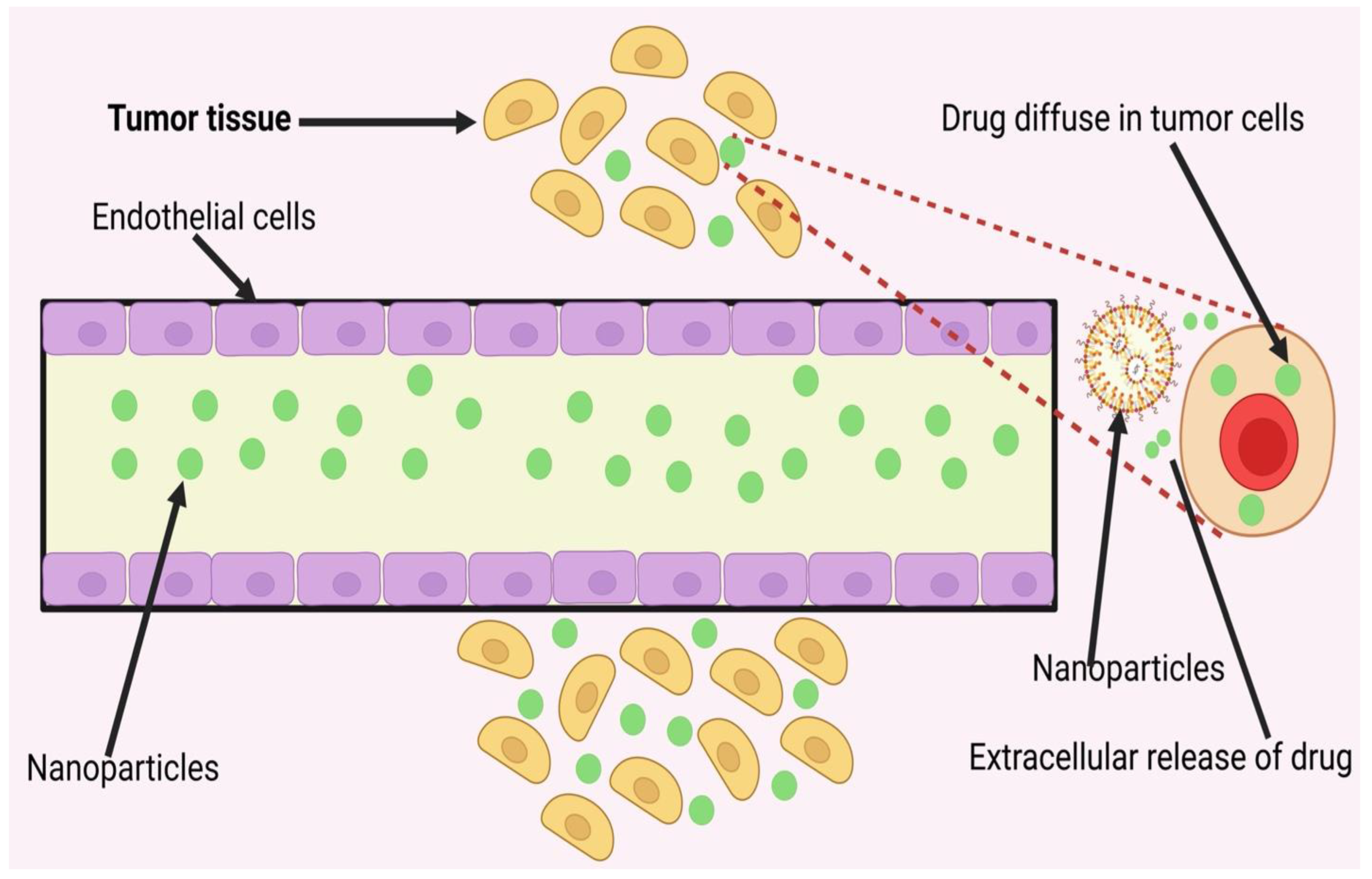 Pharmaceuticals 16 00899 g005
