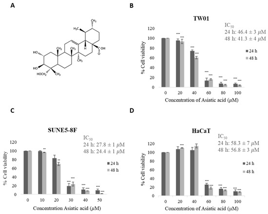 Asiatic Acid Inhibits Nasopharyngeal Carcinoma Cell