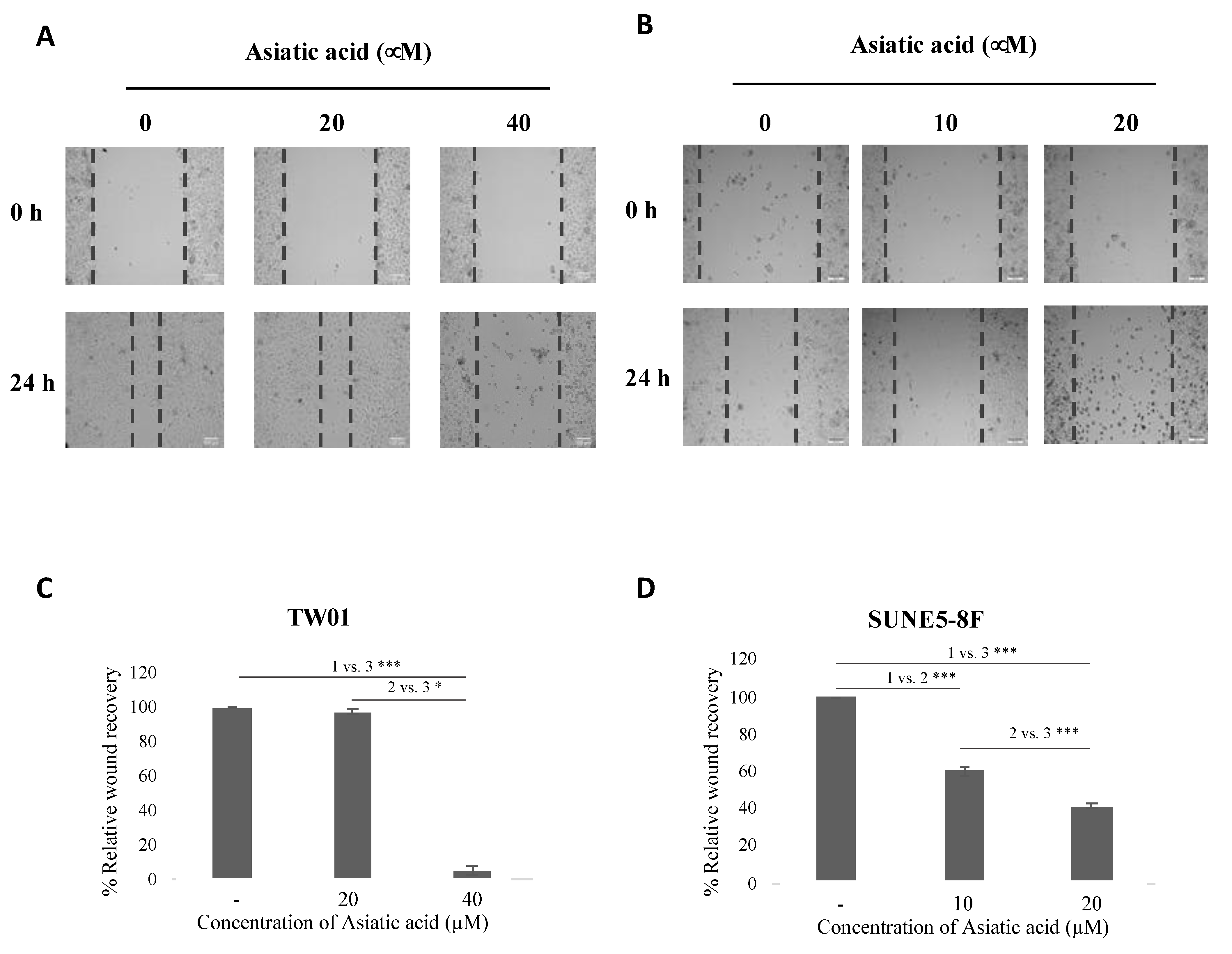 Pharmaceuticals 16 00902 g003