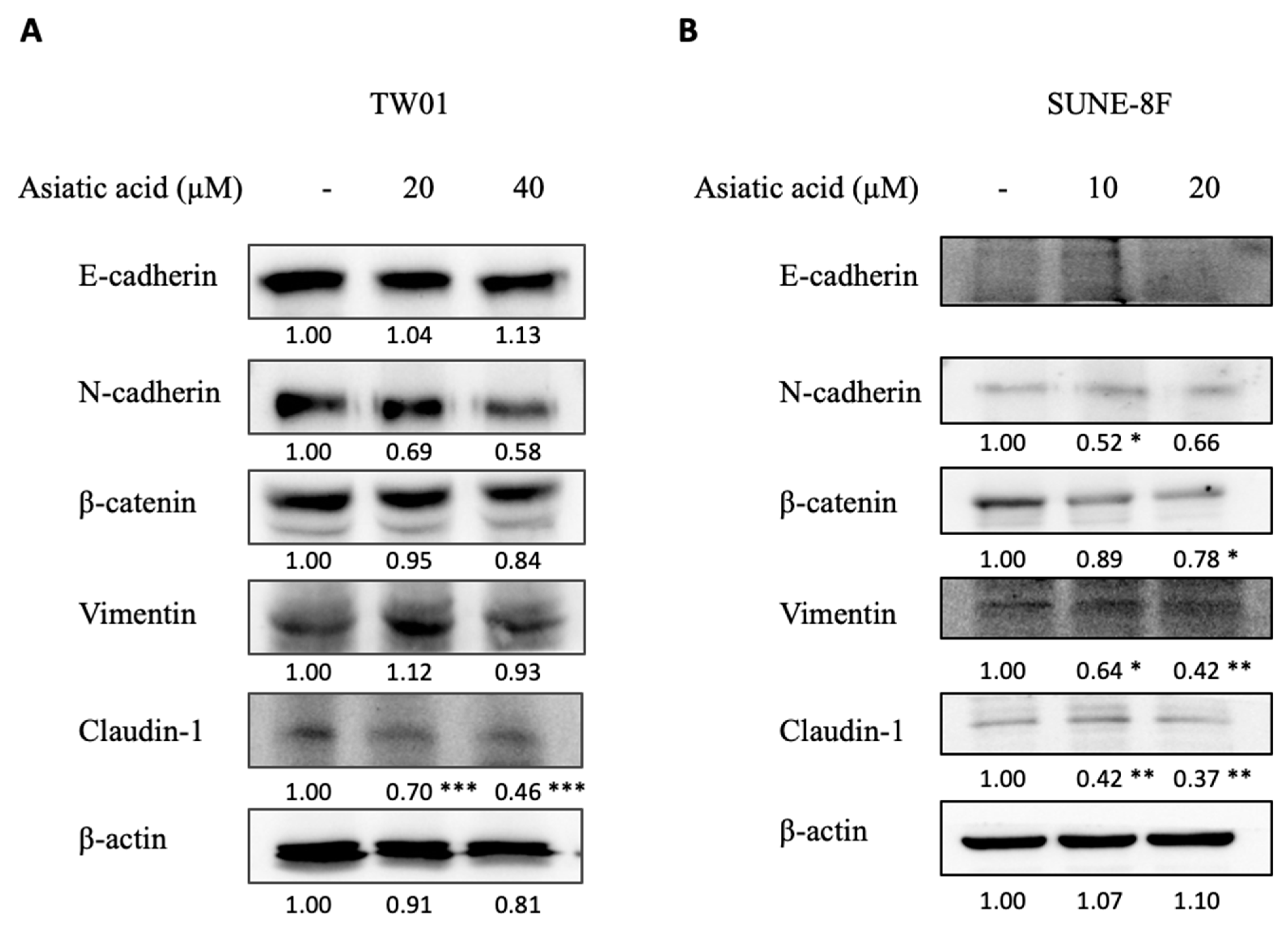 Pharmaceuticals 16 00902 g005