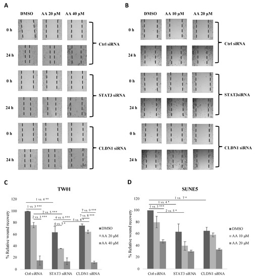 のん様オーダー Asiatic Acid Inhibits Nasopharyngeal Carcinoma Cell
