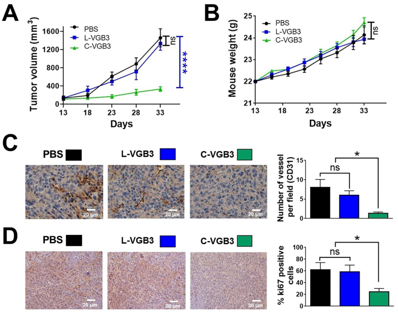 Pharmaceuticals 16 00906 g002 Pharmaceuticals 16 00906 g002
