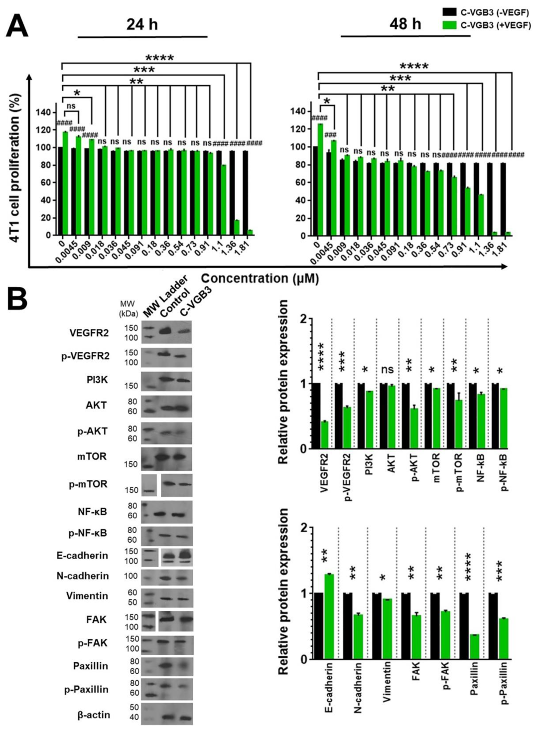 Pharmaceuticals 16 00906 g005 Pharmaceuticals 16 00906 g005