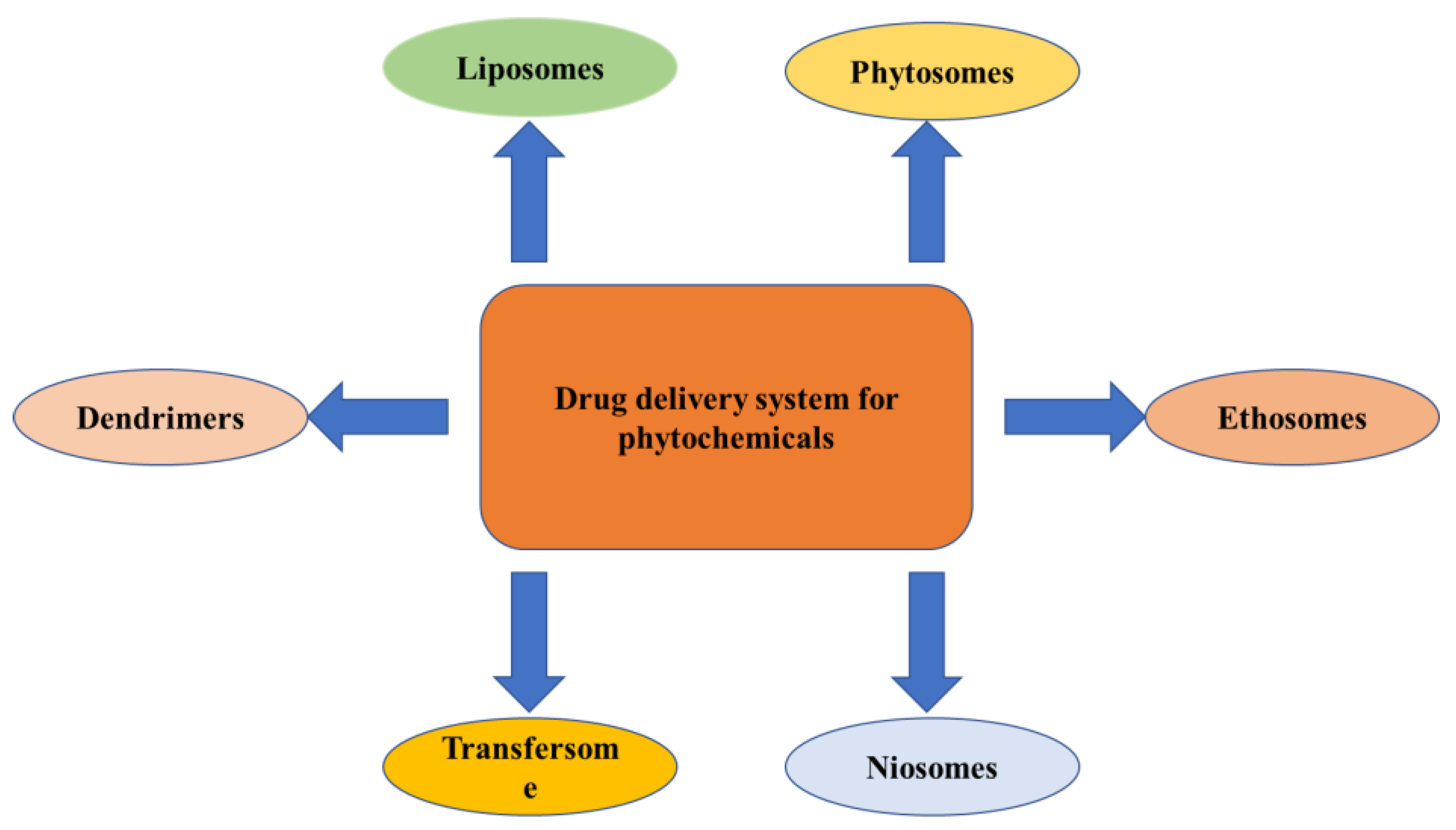 Pharmaceuticals 16 00908 g005