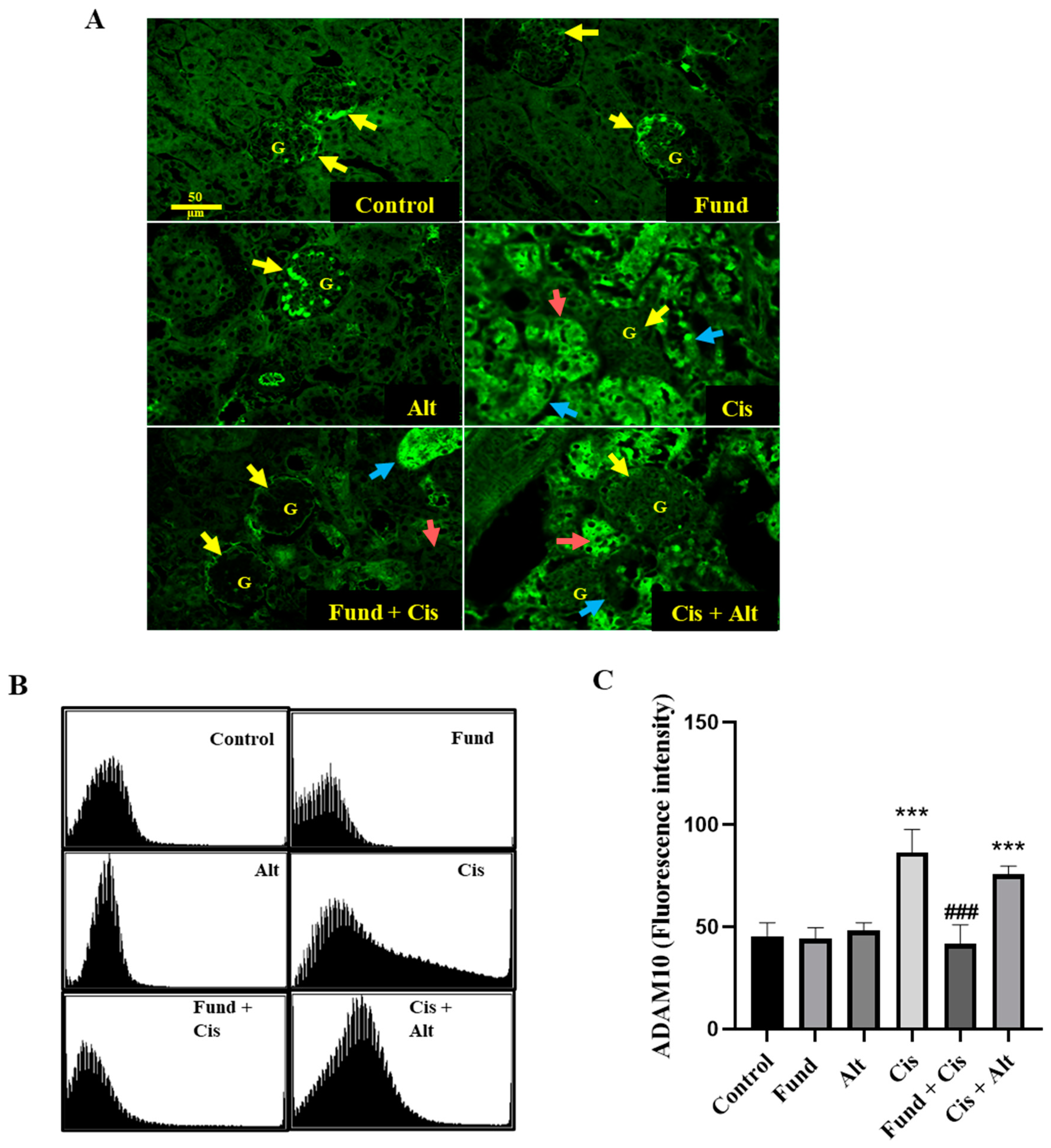Pharmaceuticals 16 00910 g002 Pharmaceuticals 16 00910 g002