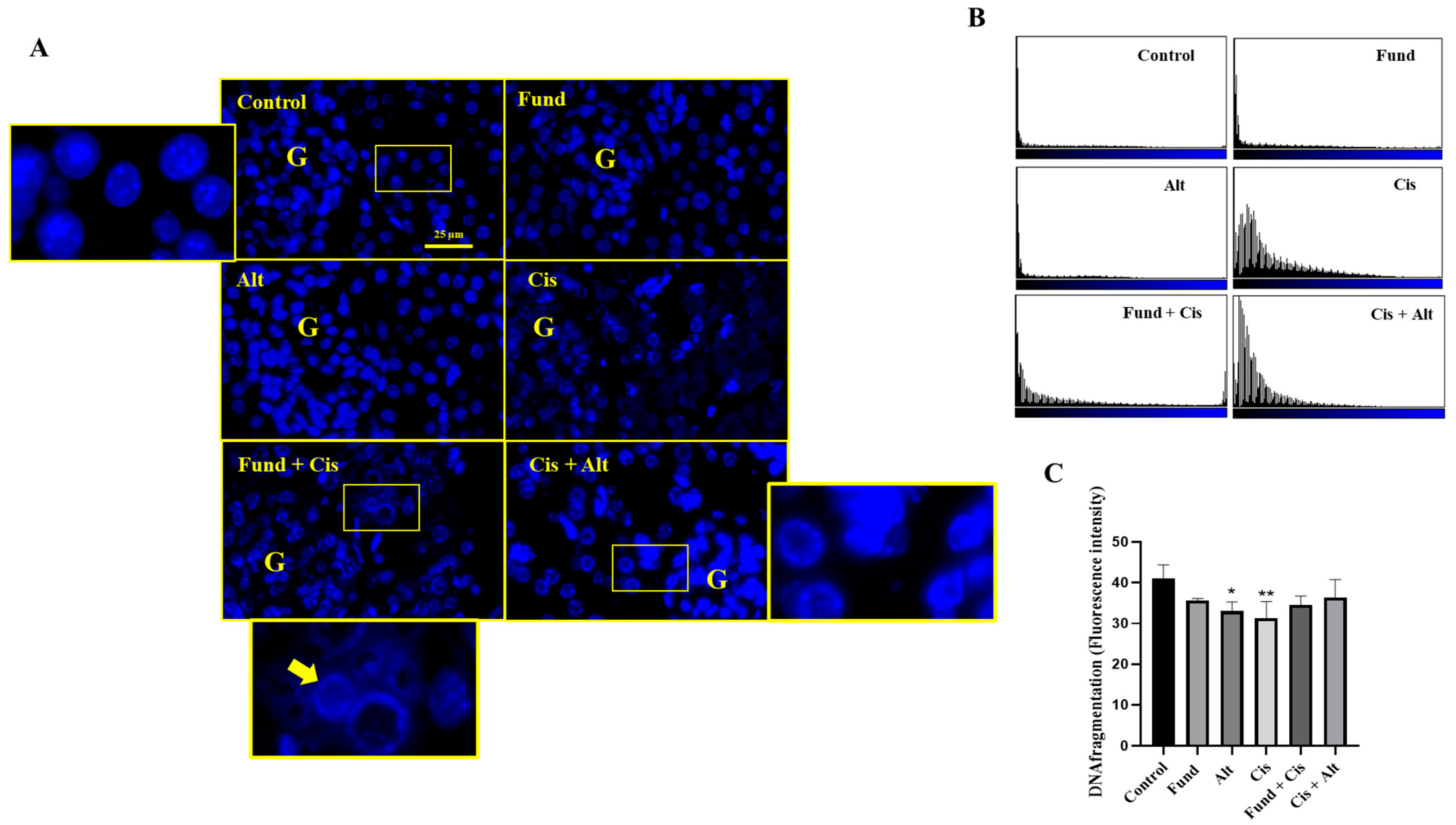 Pharmaceuticals 16 00910 g006 Pharmaceuticals 16 00910 g006