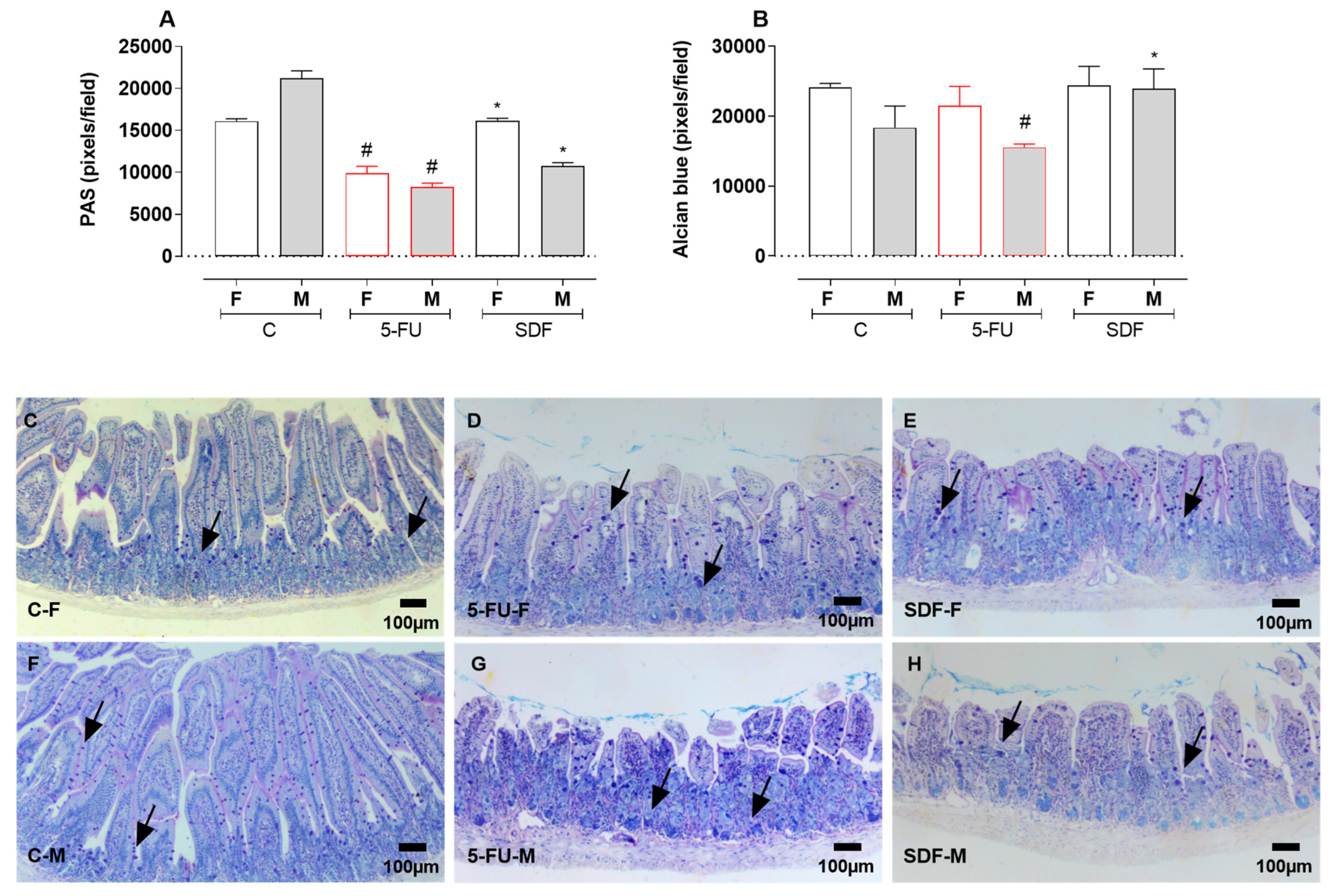 Pharmaceuticals 16 00912 g005