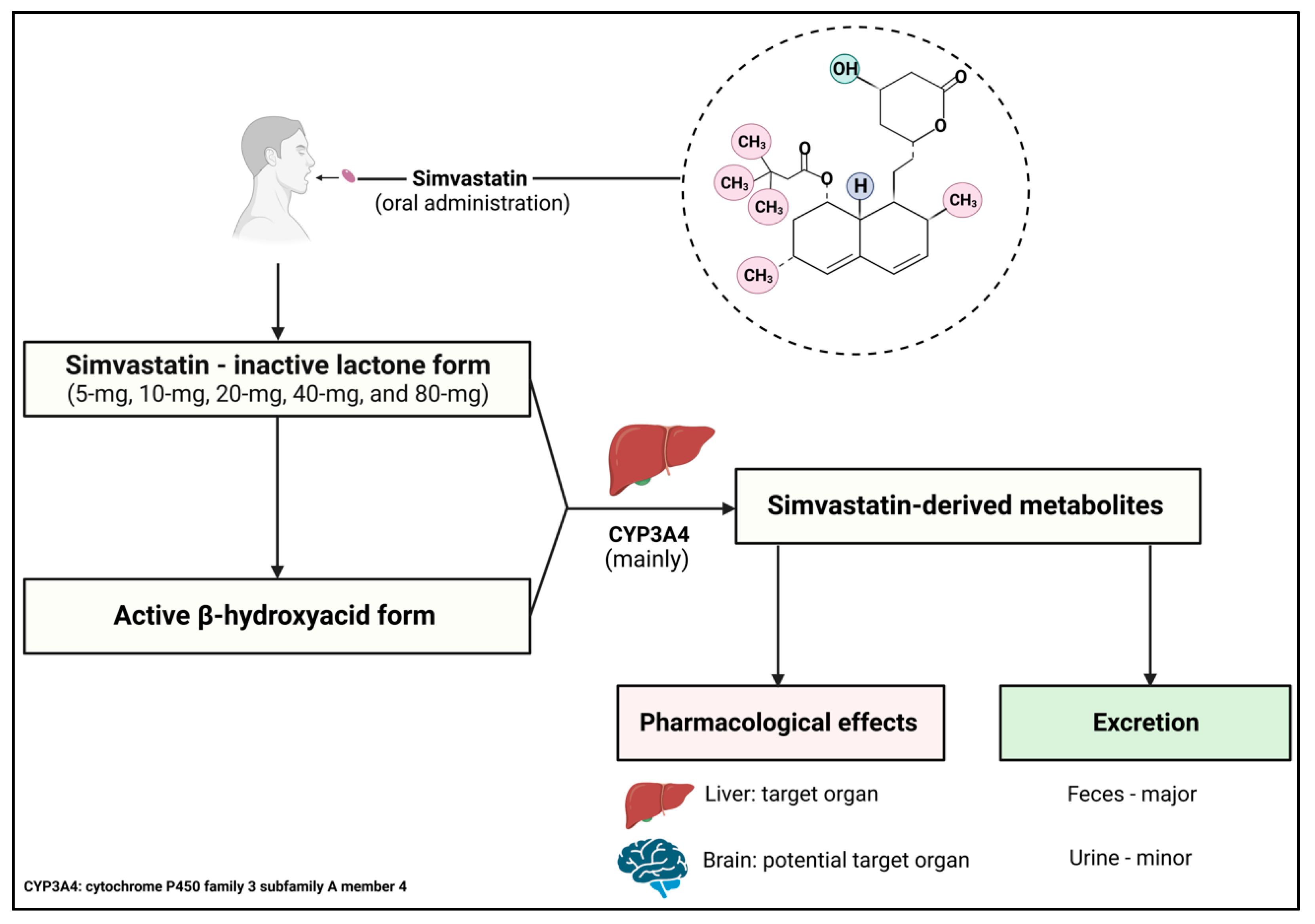 Pharmaceuticals 16 00914 g003