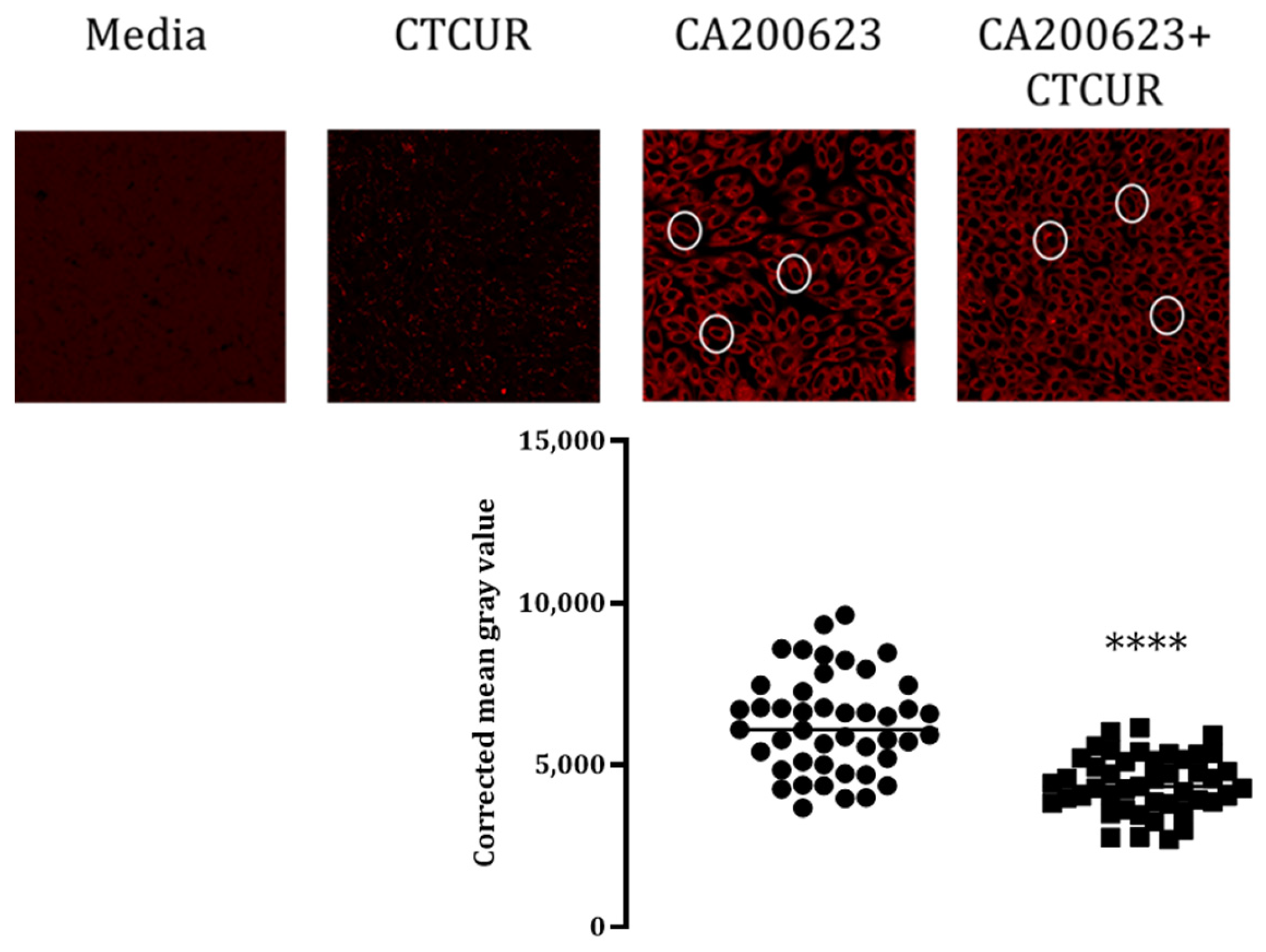 Pharmaceuticals 16 00917 g006 Pharmaceuticals 16 00917 g006