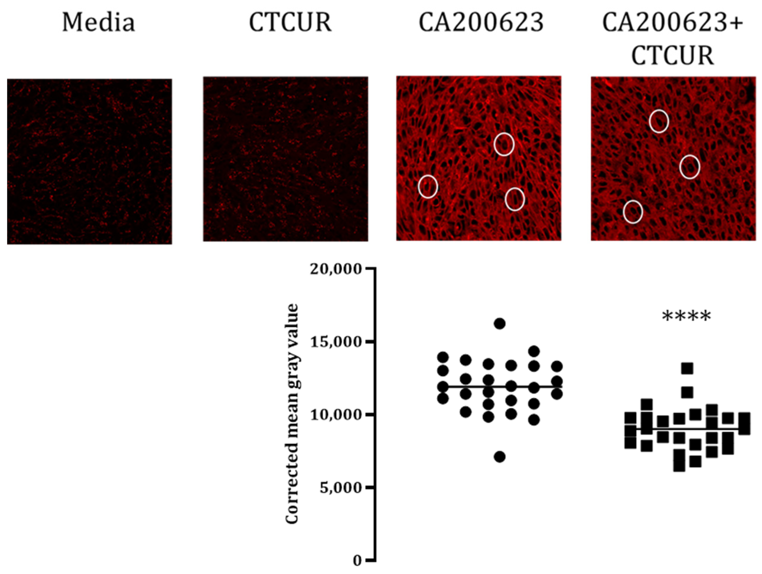 Pharmaceuticals 16 00917 g007 Pharmaceuticals 16 00917 g007