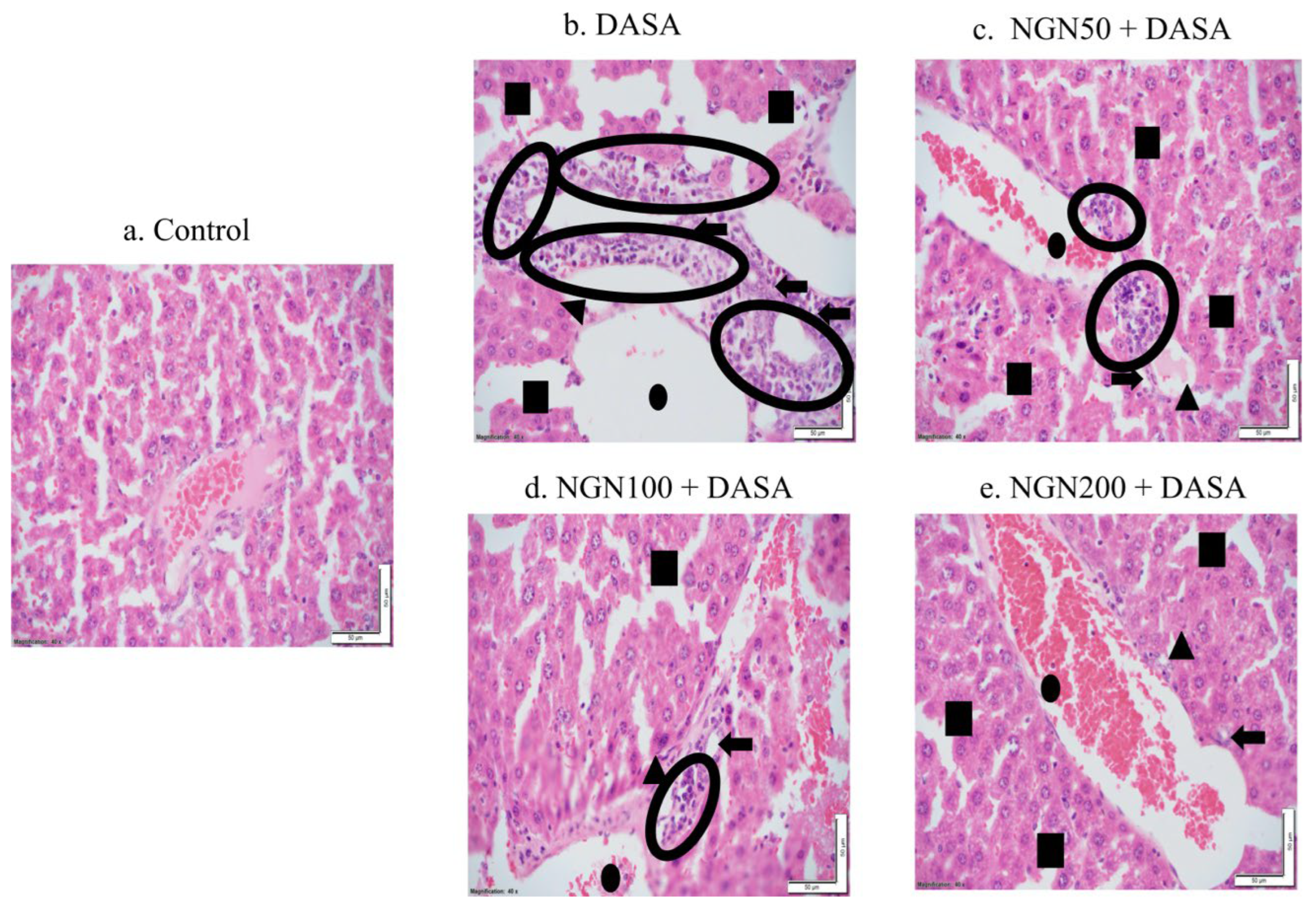 Pharmaceuticals 16 00921 g004 Pharmaceuticals 16 00921 g004