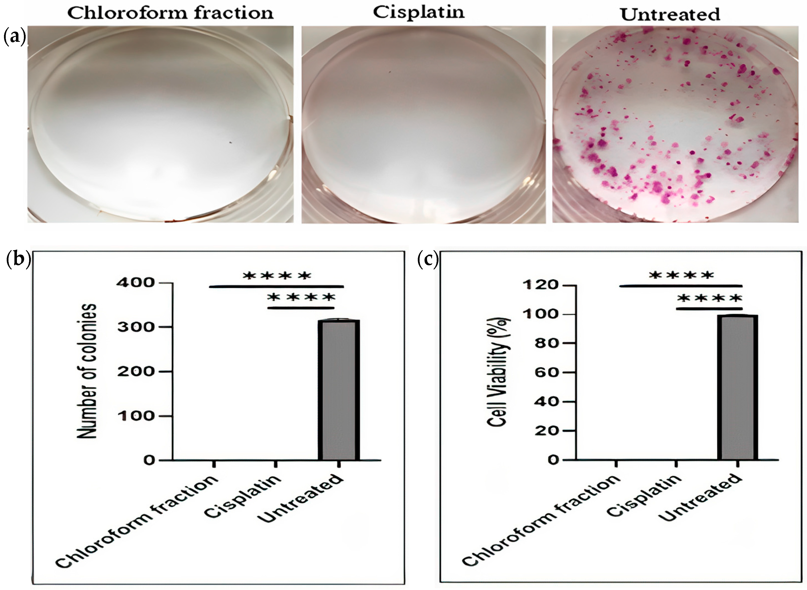 Pharmaceuticals 16 00936 g002 Pharmaceuticals 16 00936 g002
