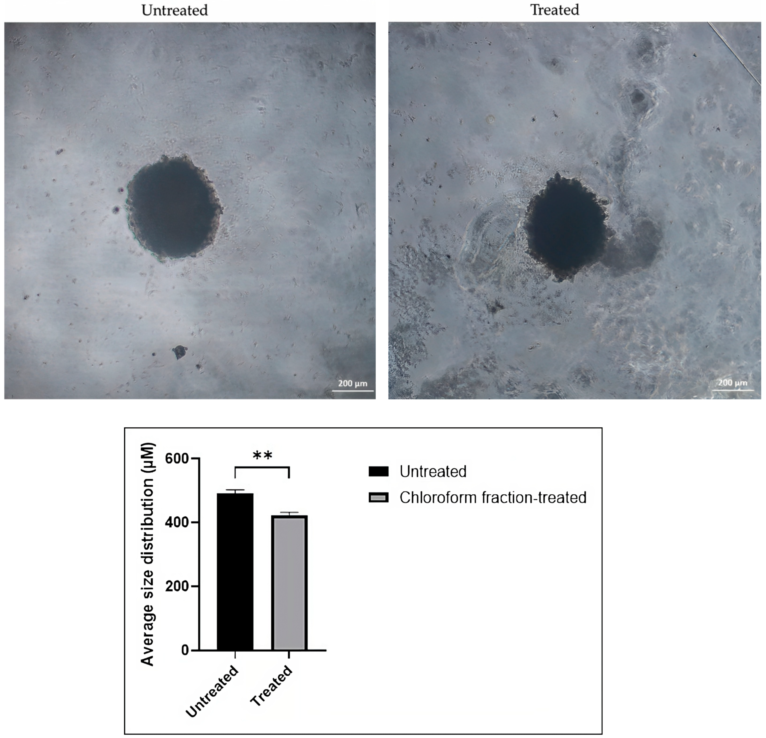 Pharmaceuticals 16 00936 g007 Pharmaceuticals 16 00936 g007