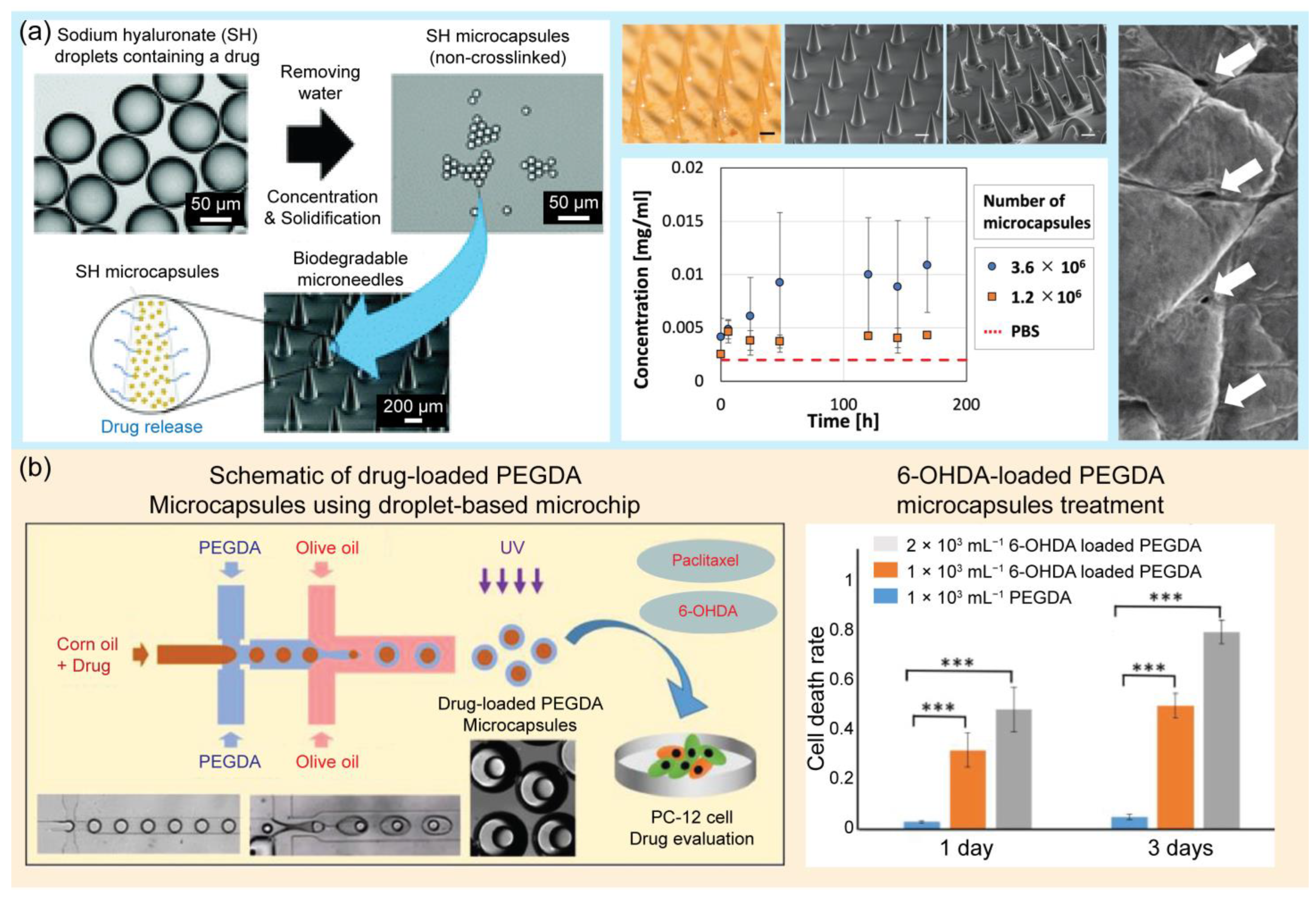 Pharmaceuticals 16 00937 g007 Pharmaceuticals 16 00937 g007