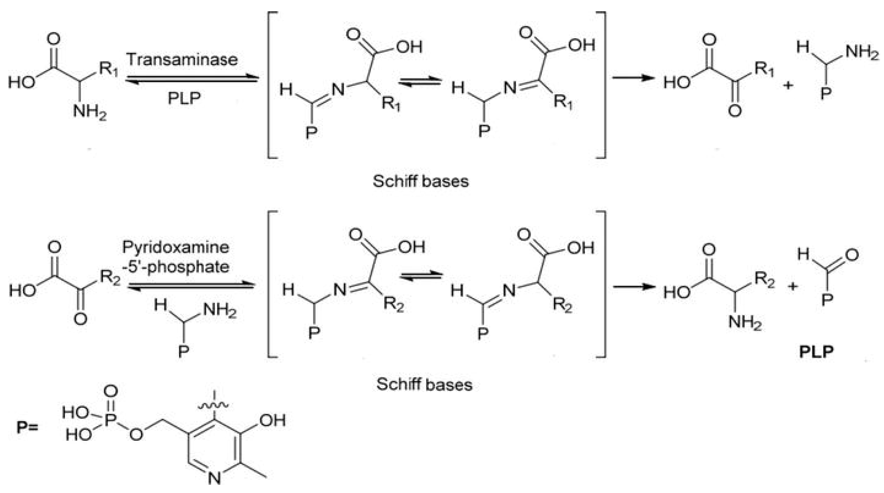 Pharmaceuticals 16 00938 sch002 Pharmaceuticals 16 00938 sch002
