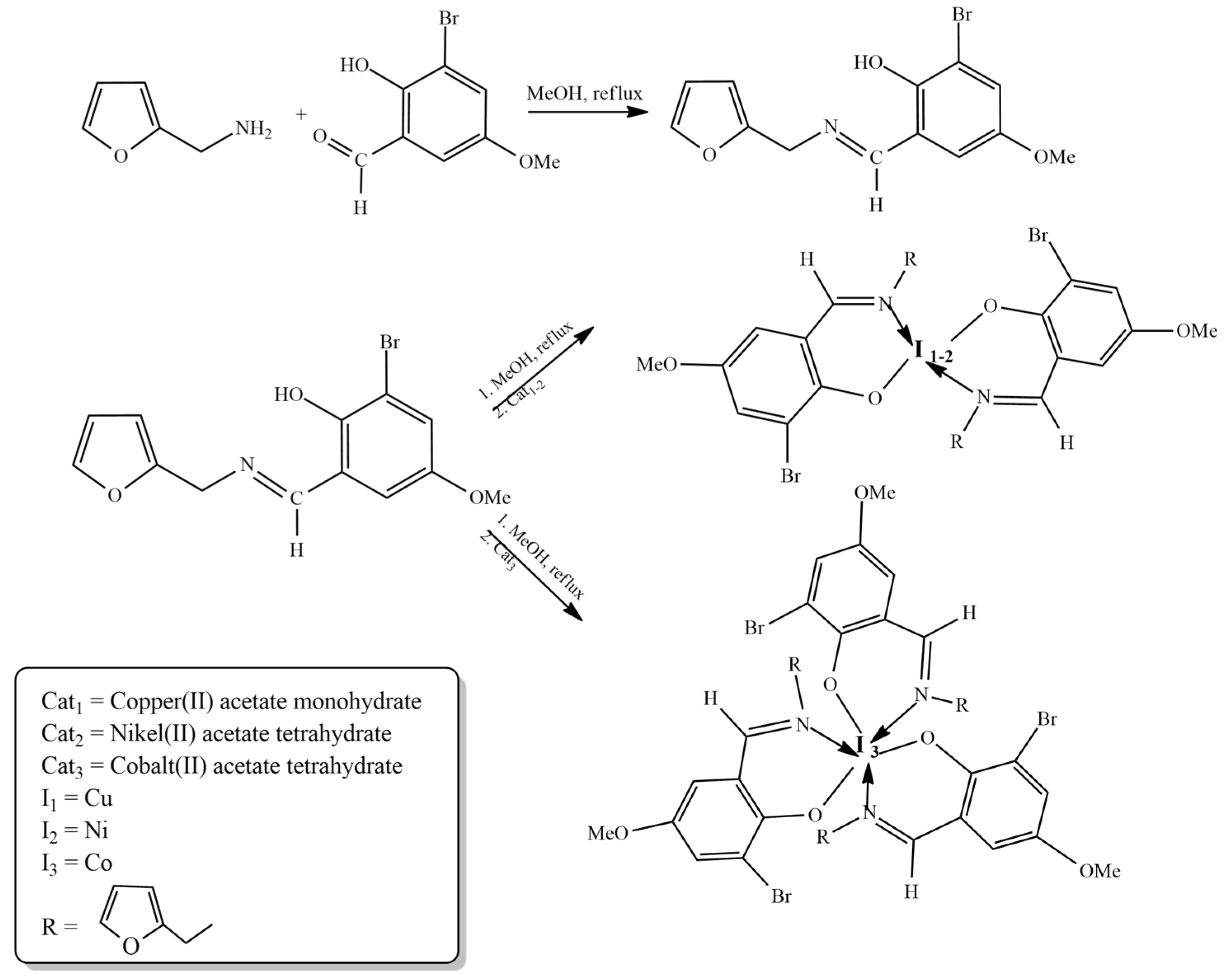 Pharmaceuticals 16 00938 sch005 Pharmaceuticals 16 00938 sch005