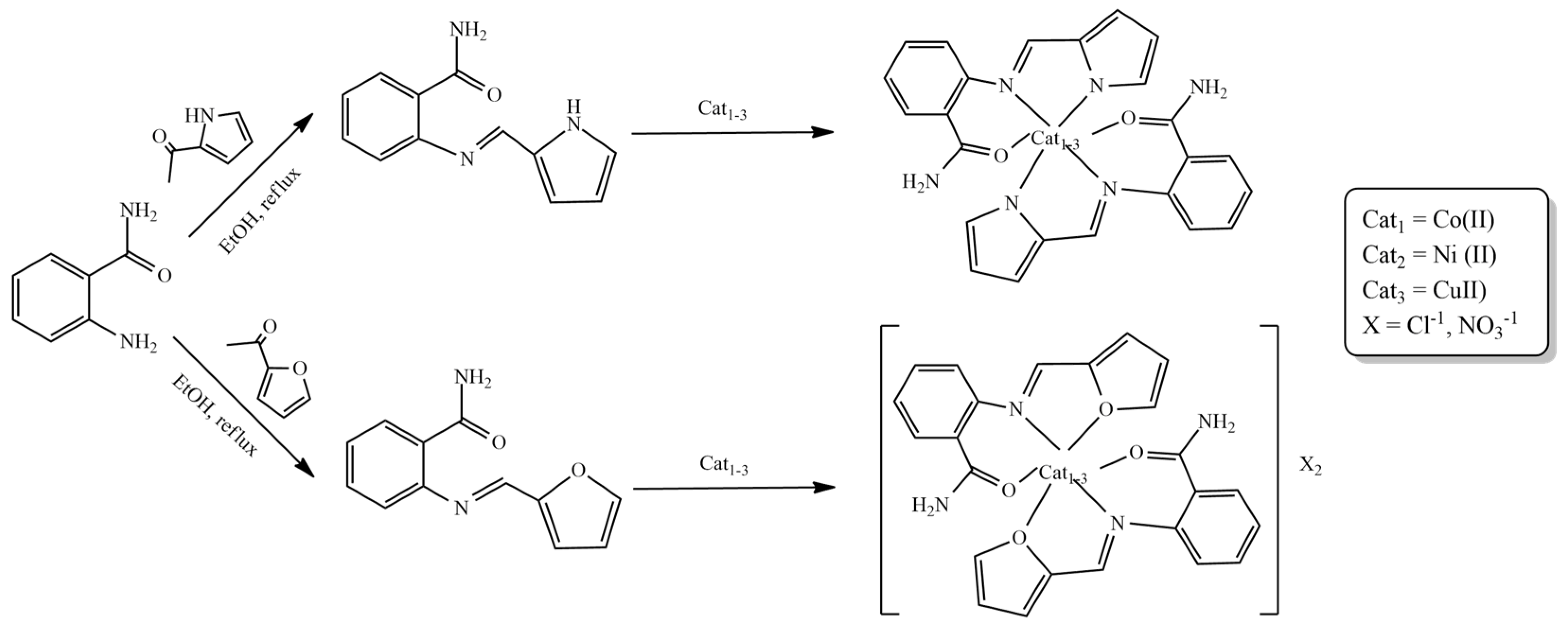 Pharmaceuticals 16 00938 sch007 Pharmaceuticals 16 00938 sch007