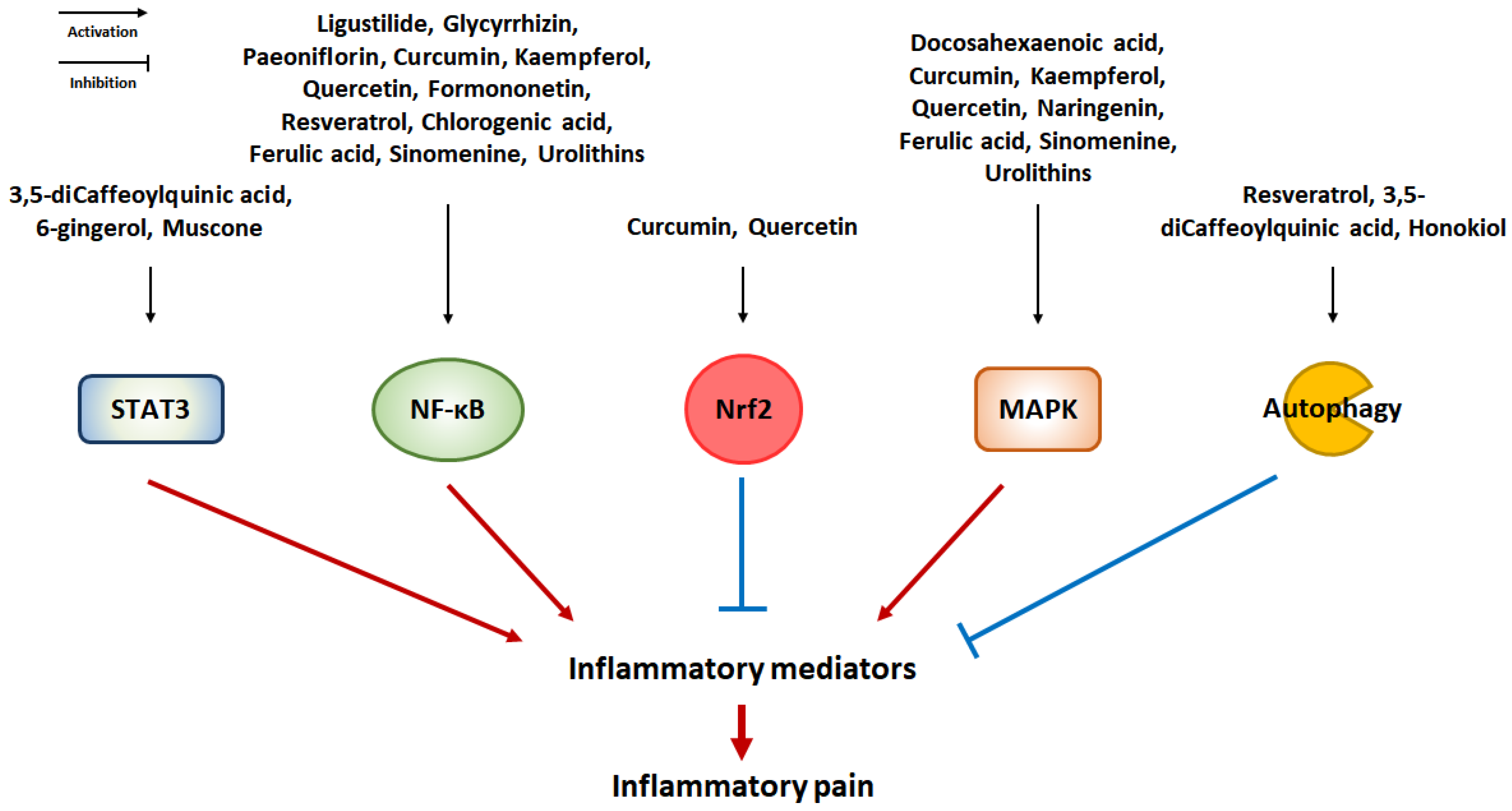 Pharmaceuticals 16 00941 g004