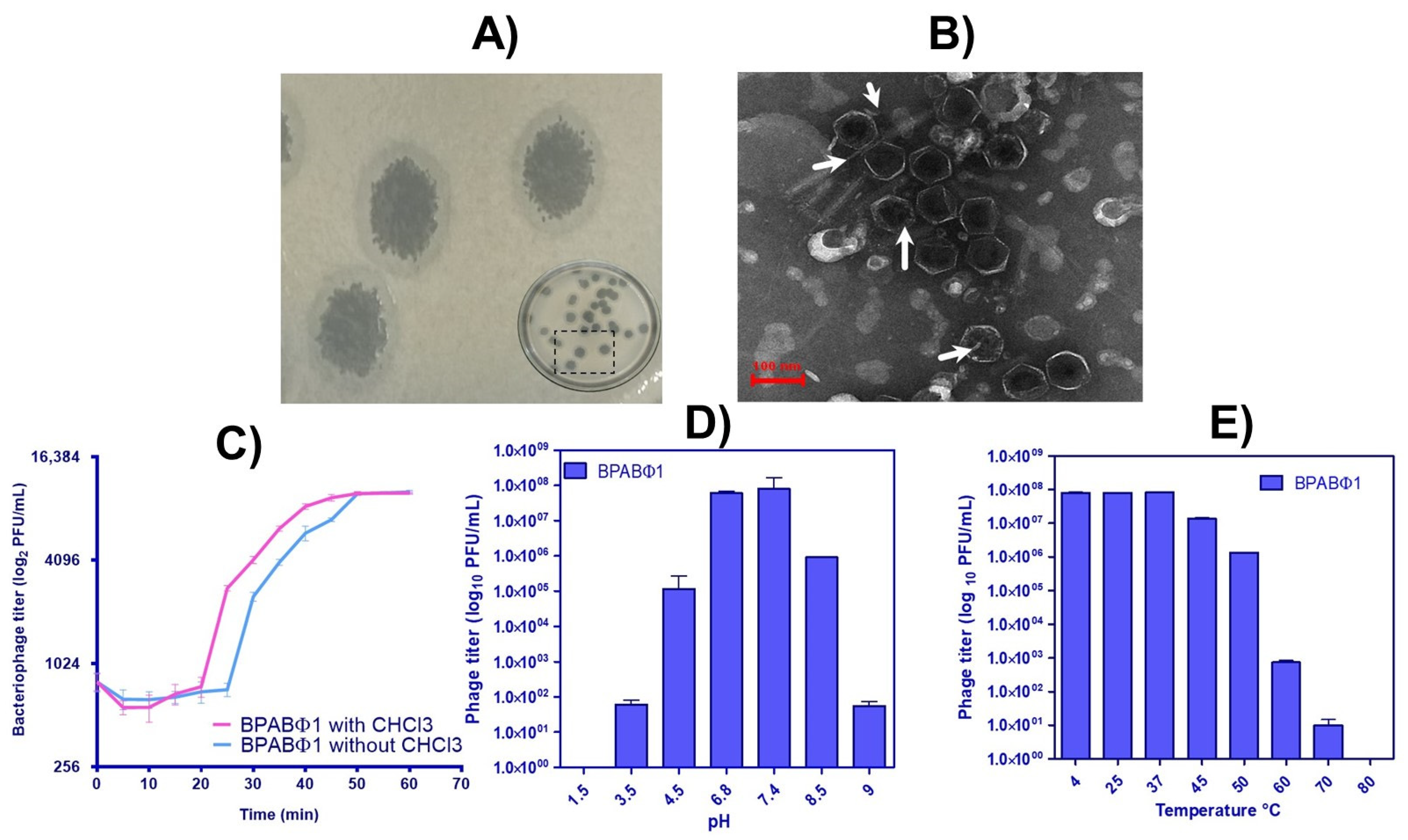 Pharmaceuticals 16 00942 g001