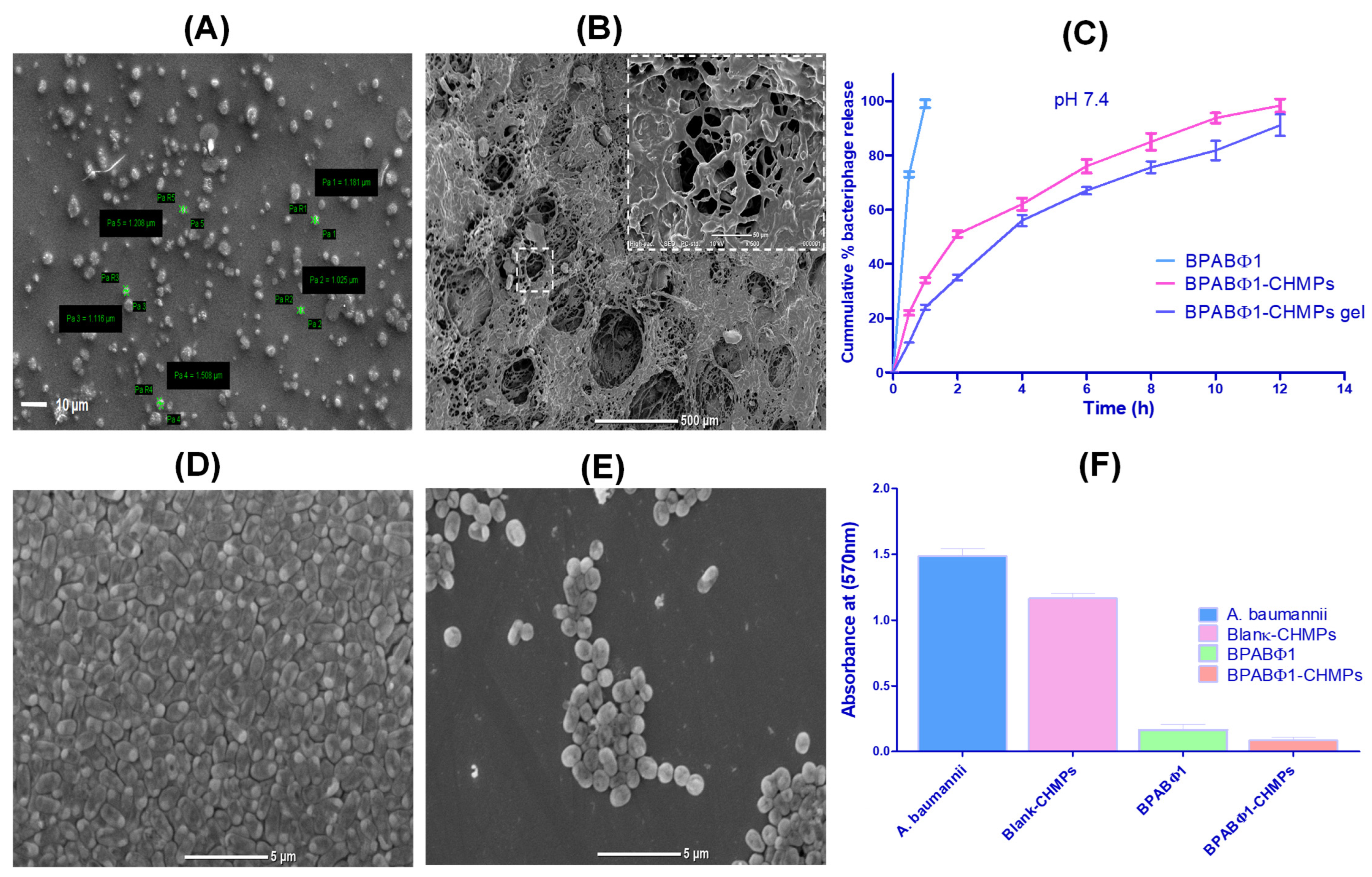 Pharmaceuticals 16 00942 g002